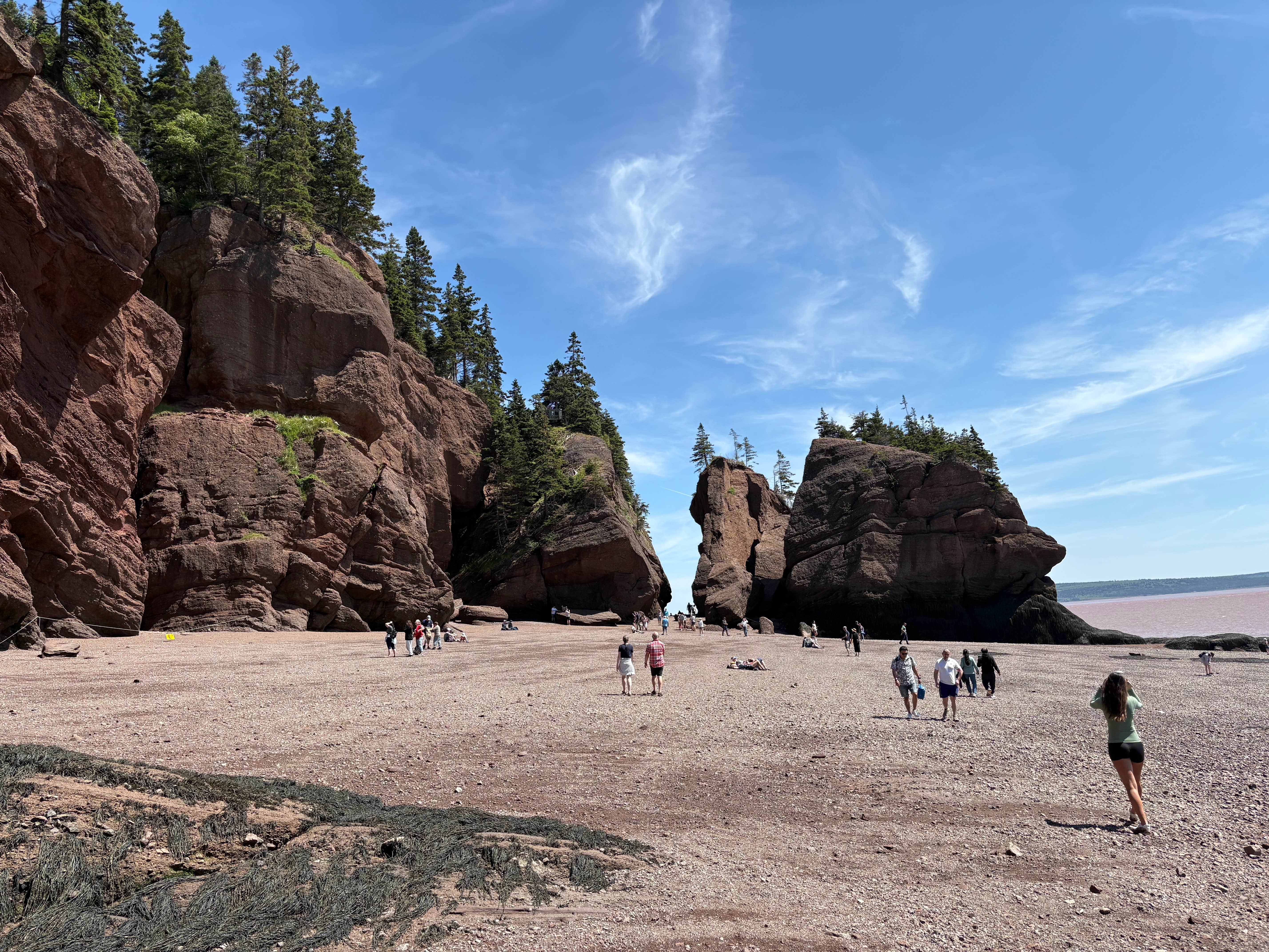 Camper submitted image from Ponderosa Pines - 4