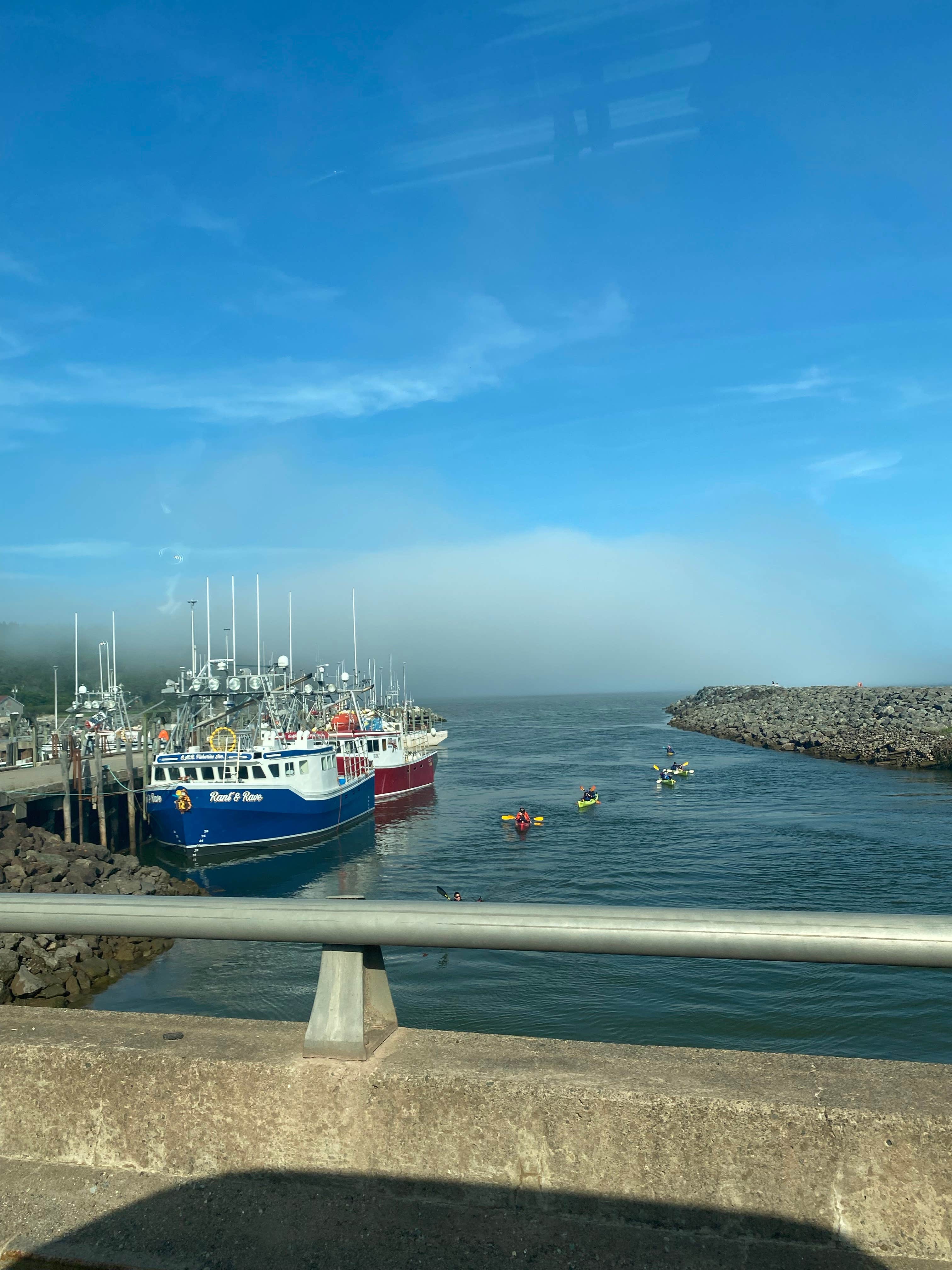 Camper submitted image from Ponderosa Pines - 2