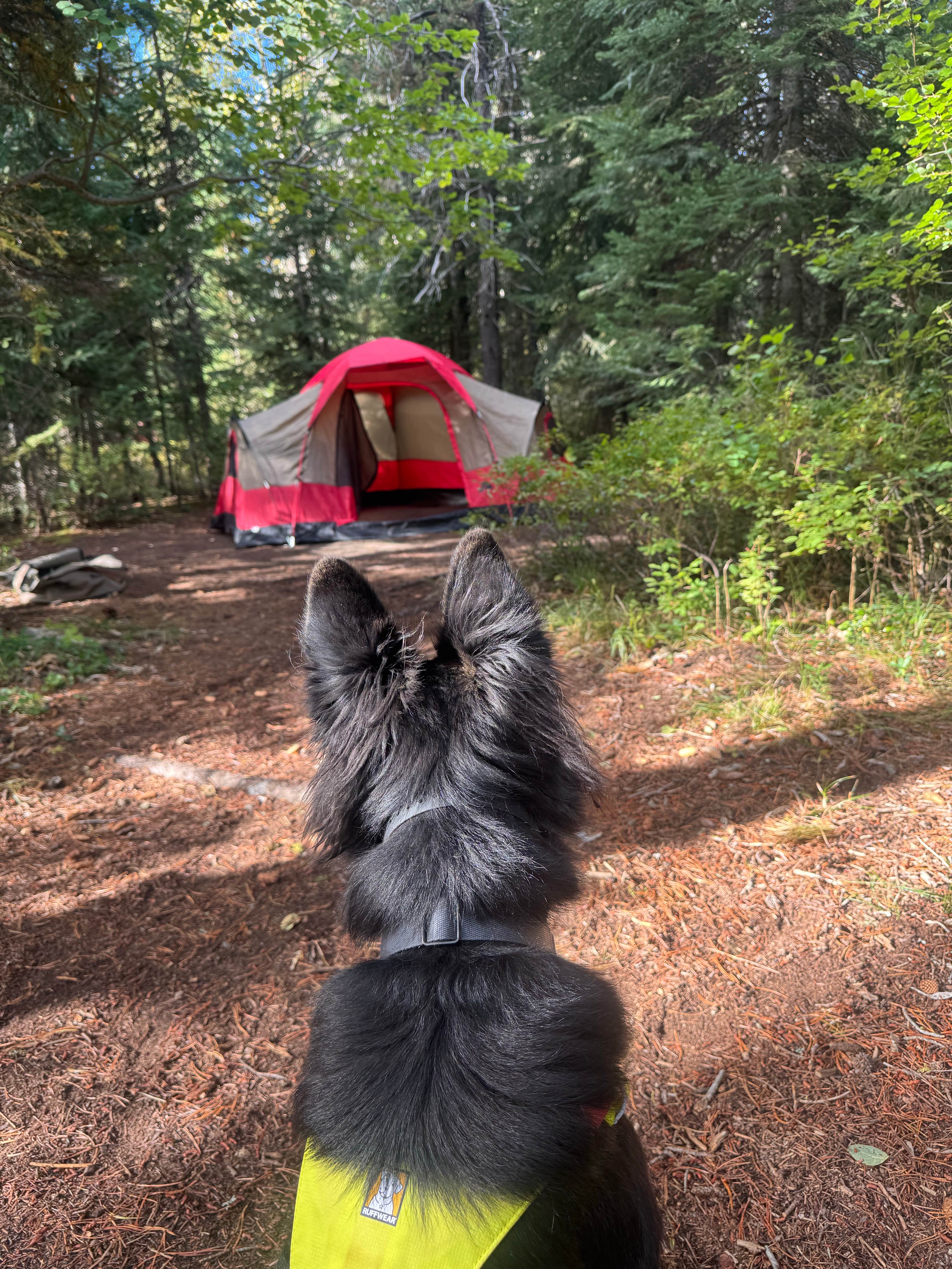Camping near Peninsula Campground — Ponderosa State Park: Northwest Passage Campground — Ponderosa State Park, McCall, Idaho
