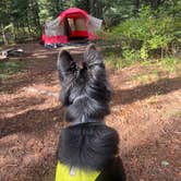 Review photo of Northwest Passage Campground — Ponderosa State Park by Tristan S., October 12, 2026