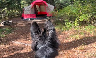 Tristan S.'s photo of camping with pets at Northwest Passage Campground — Ponderosa State Park near Council, ID