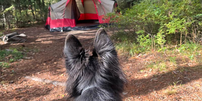 Camper submitted image from Northwest Passage Campground — Ponderosa State Park
