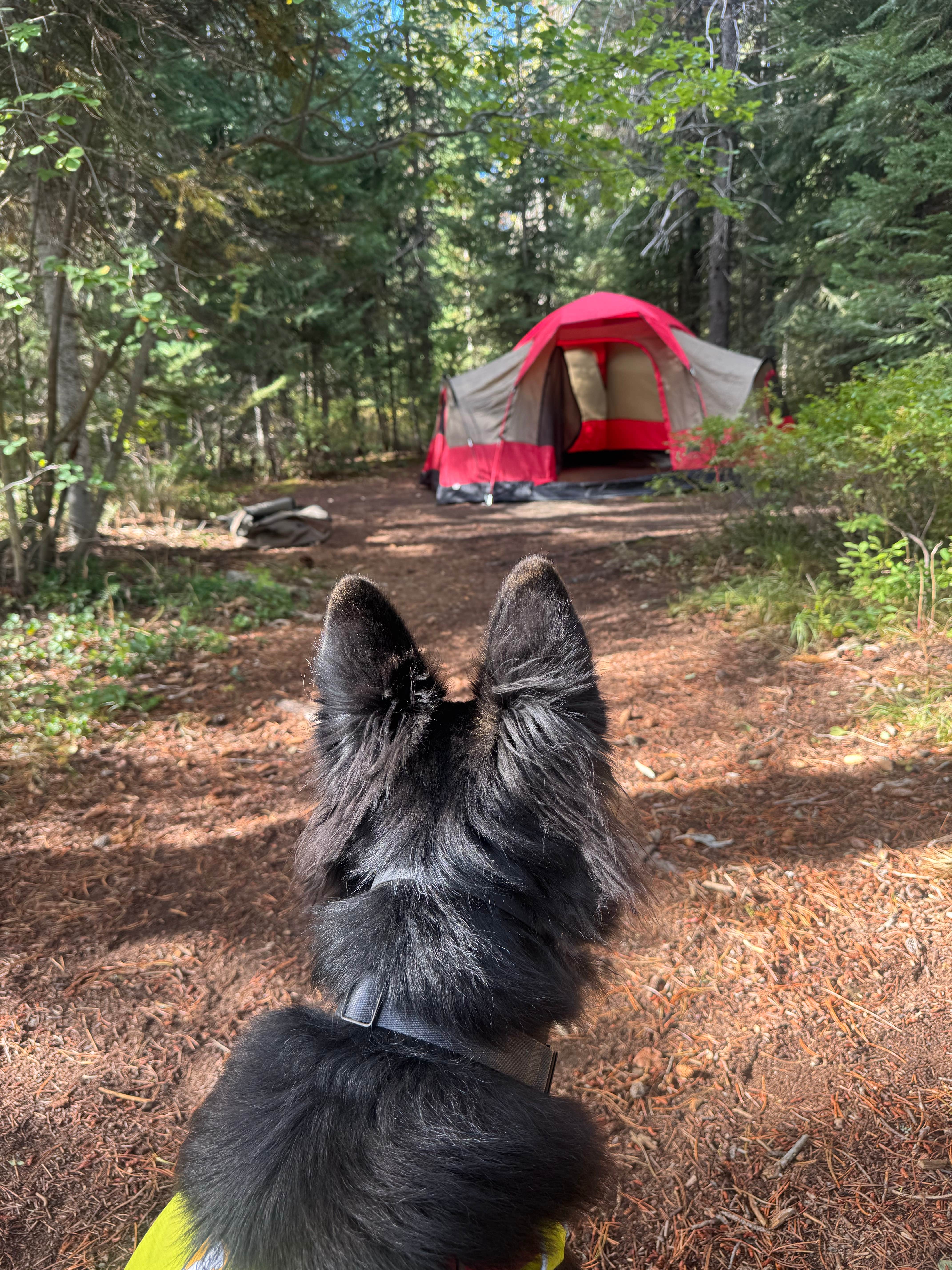 Camper-submitted photo at Northwest Passage Campground — Ponderosa State Park near Payette National Forest