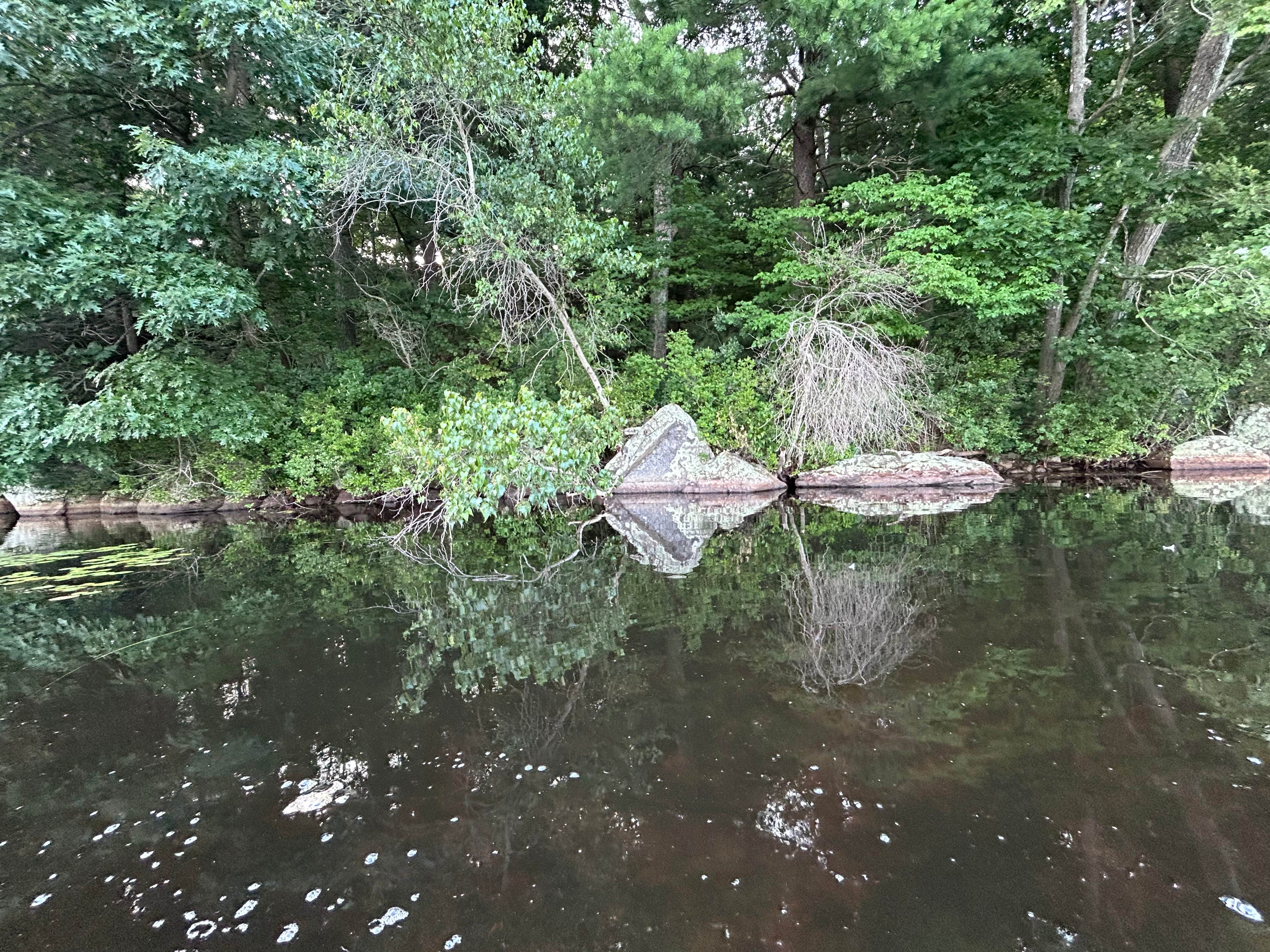 Camper-submitted photo at Ponkapoag Camp near Chelsea, MA