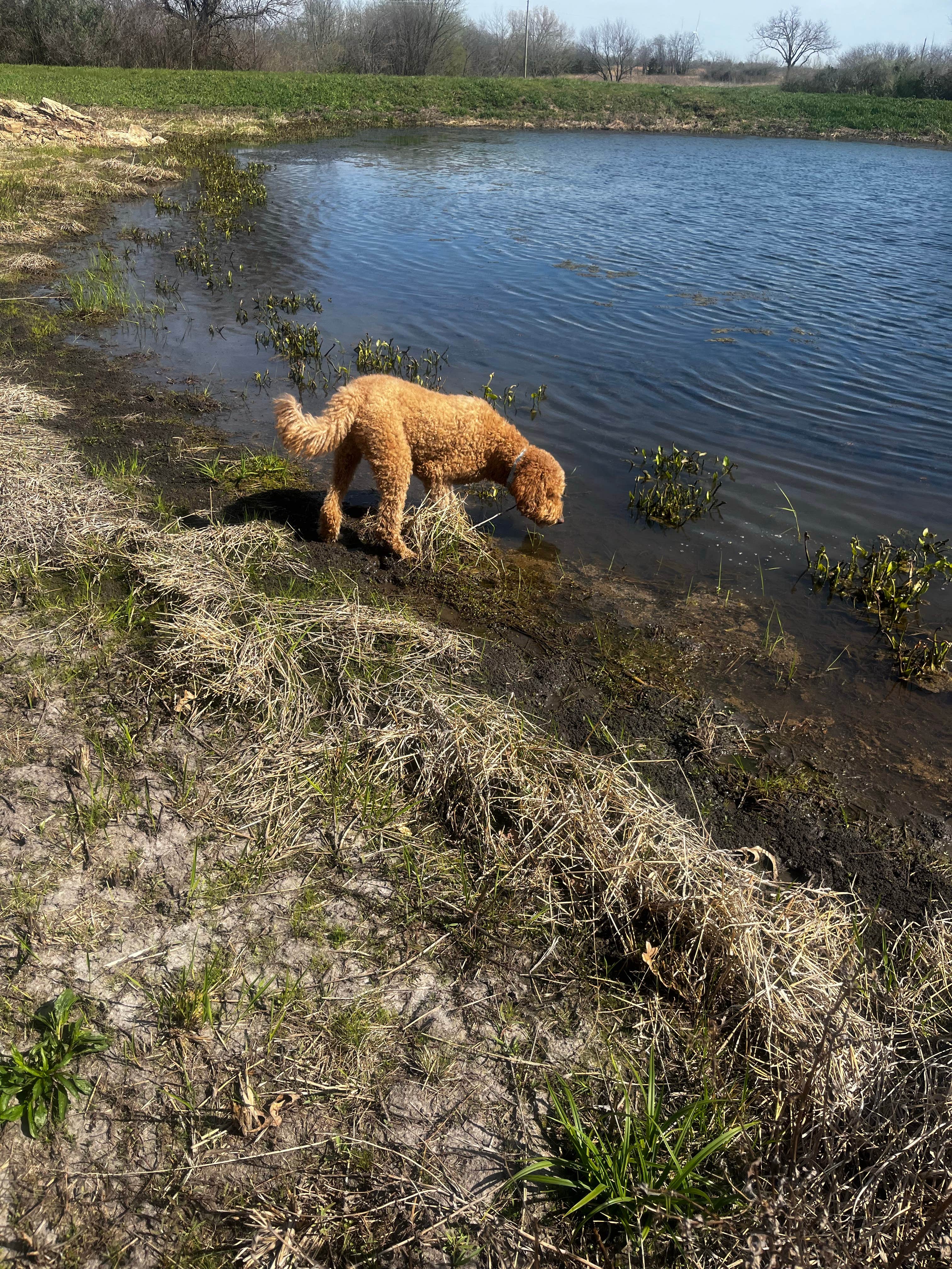 Camper submitted image from Pony Express Lake Conservation Area - 4