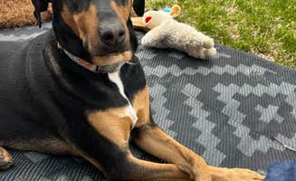 Bill F.'s photo of camping with pets at Pony Express Lake Conservation Area near St. Joseph, MO