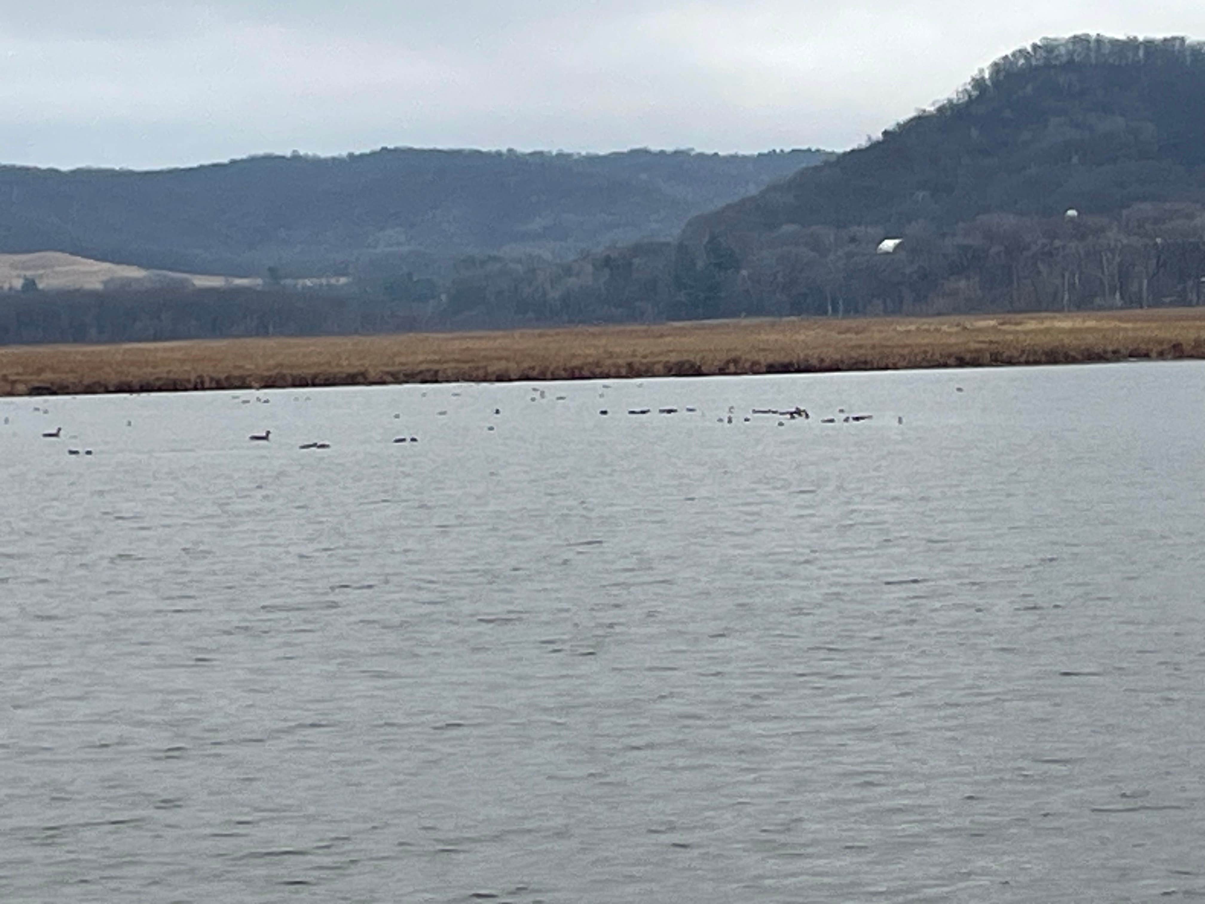 Camper submitted image from Pool 4, Riecks Lake Park - 1