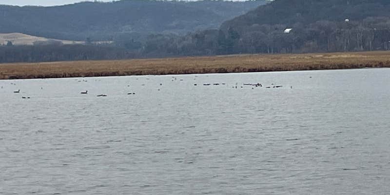 Camper submitted image from Pool 4, Riecks Lake Park