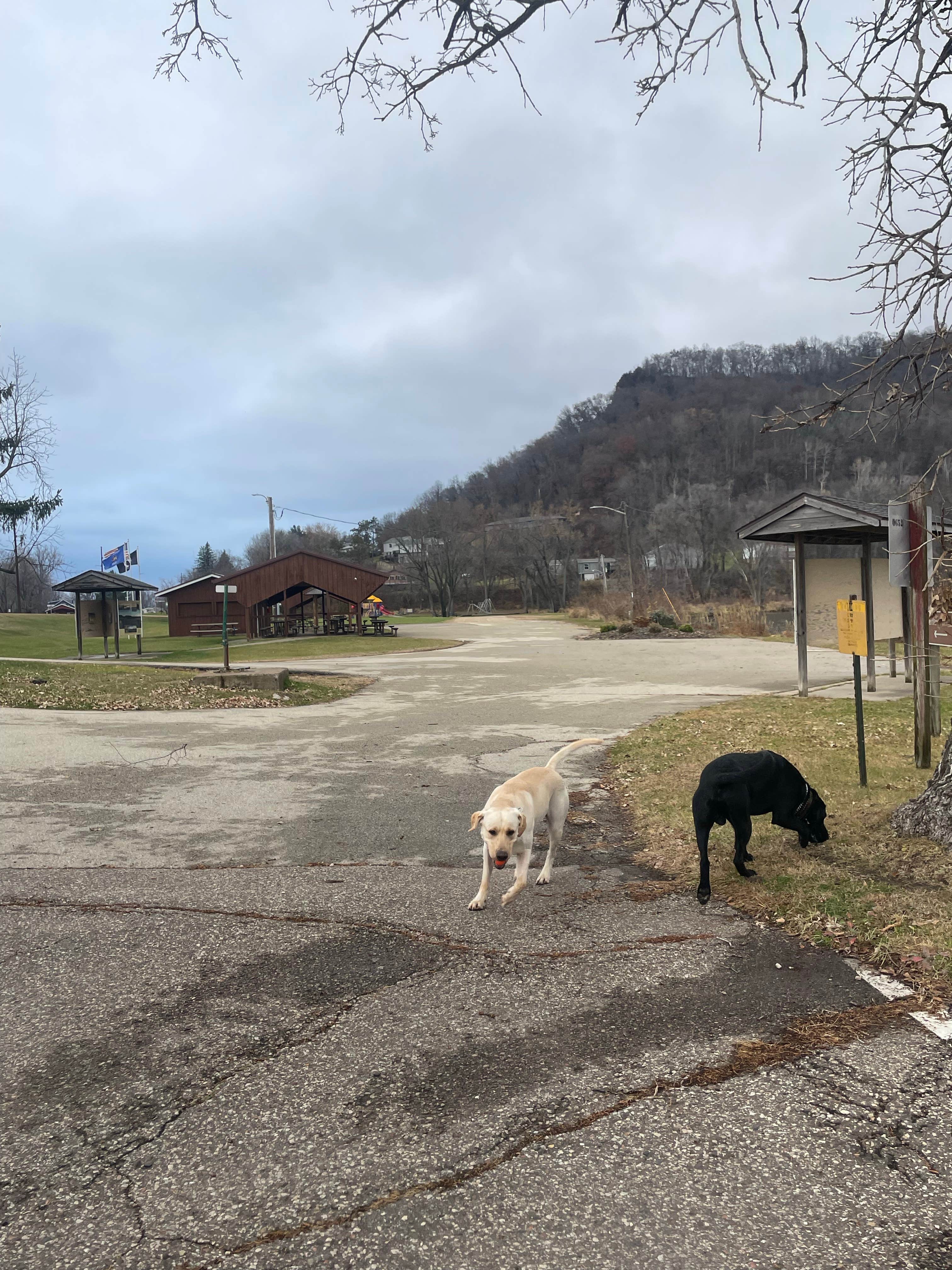 Camper submitted image from Pool 4, Riecks Lake Park - 4