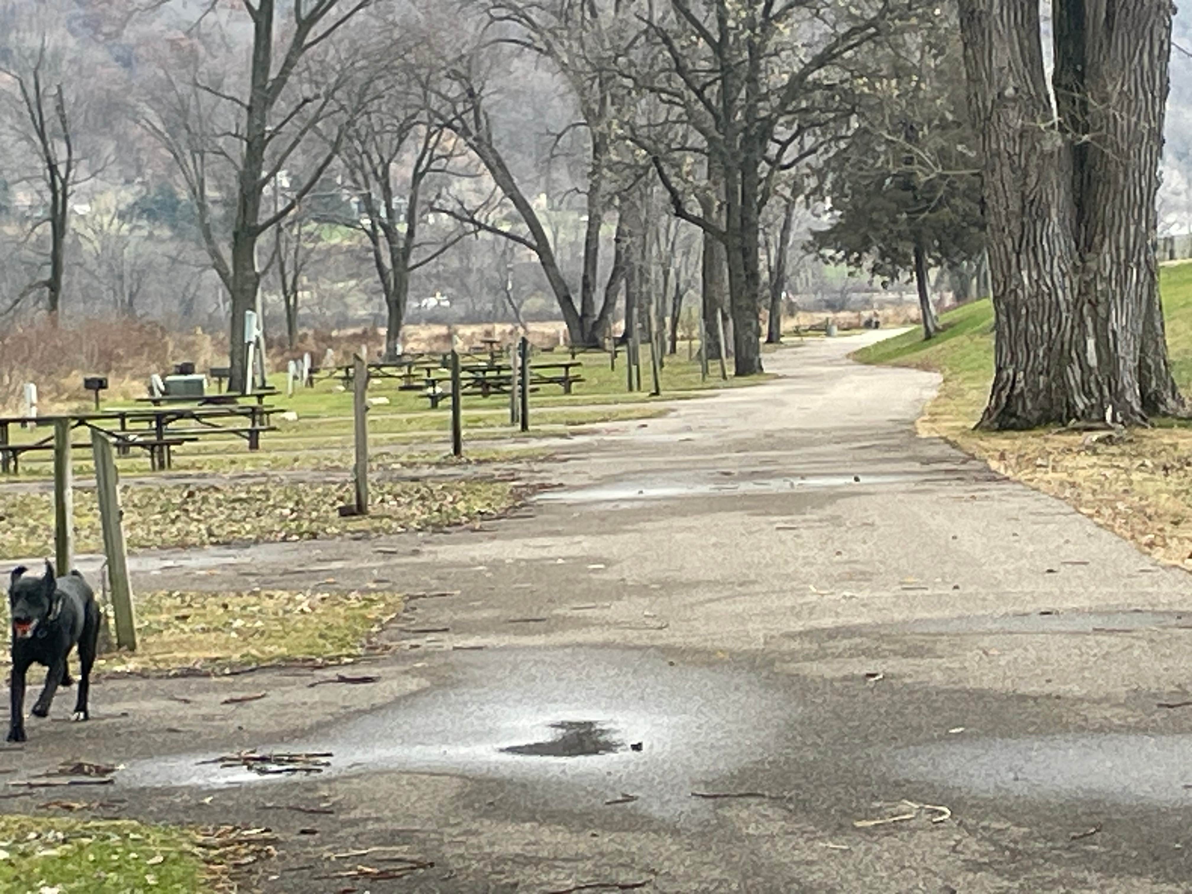 Camper submitted image from Pool 4, Riecks Lake Park - 5