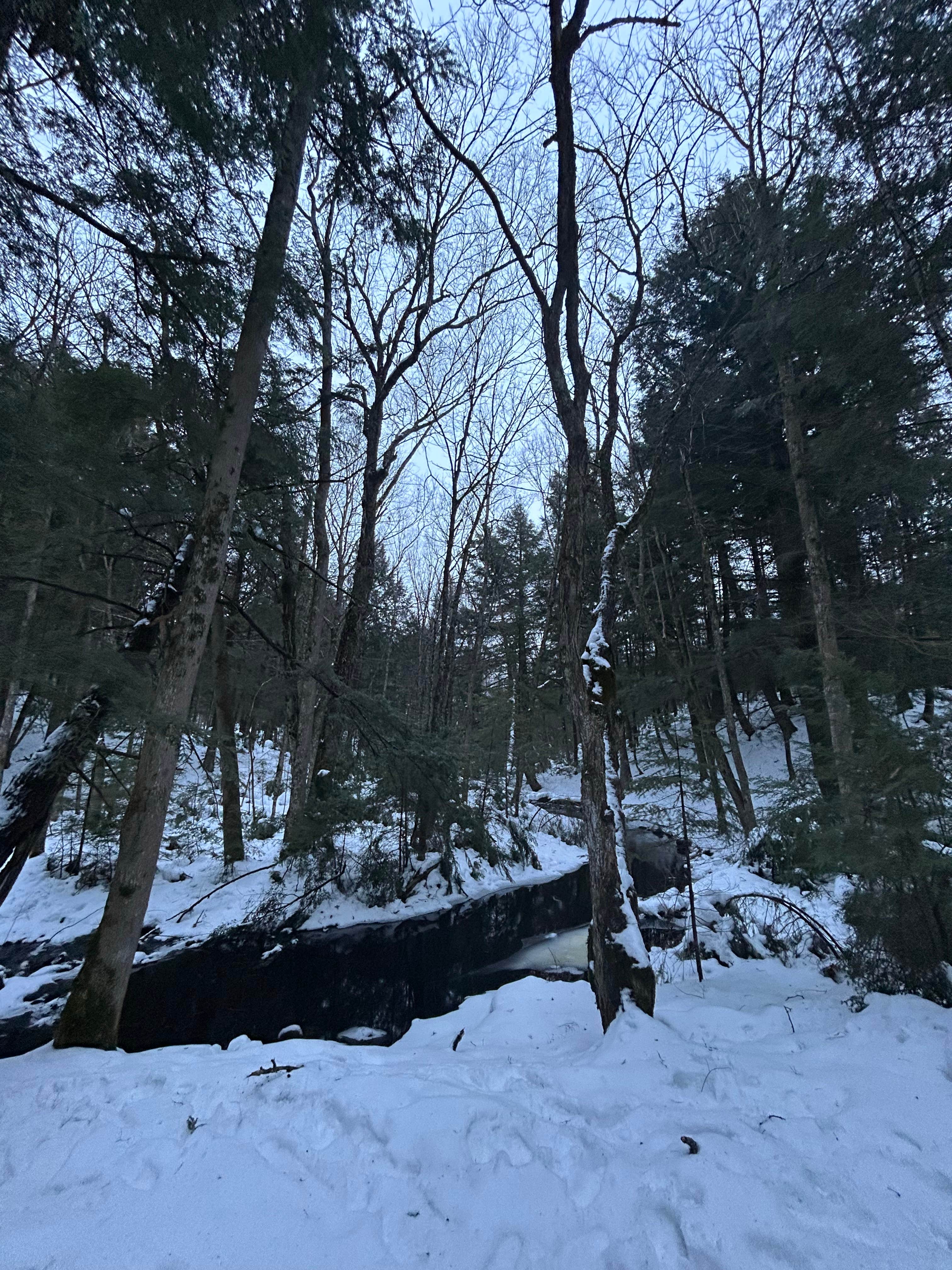 Camper-submitted photo at Porcupine Lake Wilderness near Hayward, WI