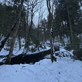 Review photo of Porcupine Lake Wilderness by Avery G., December 31, 2025