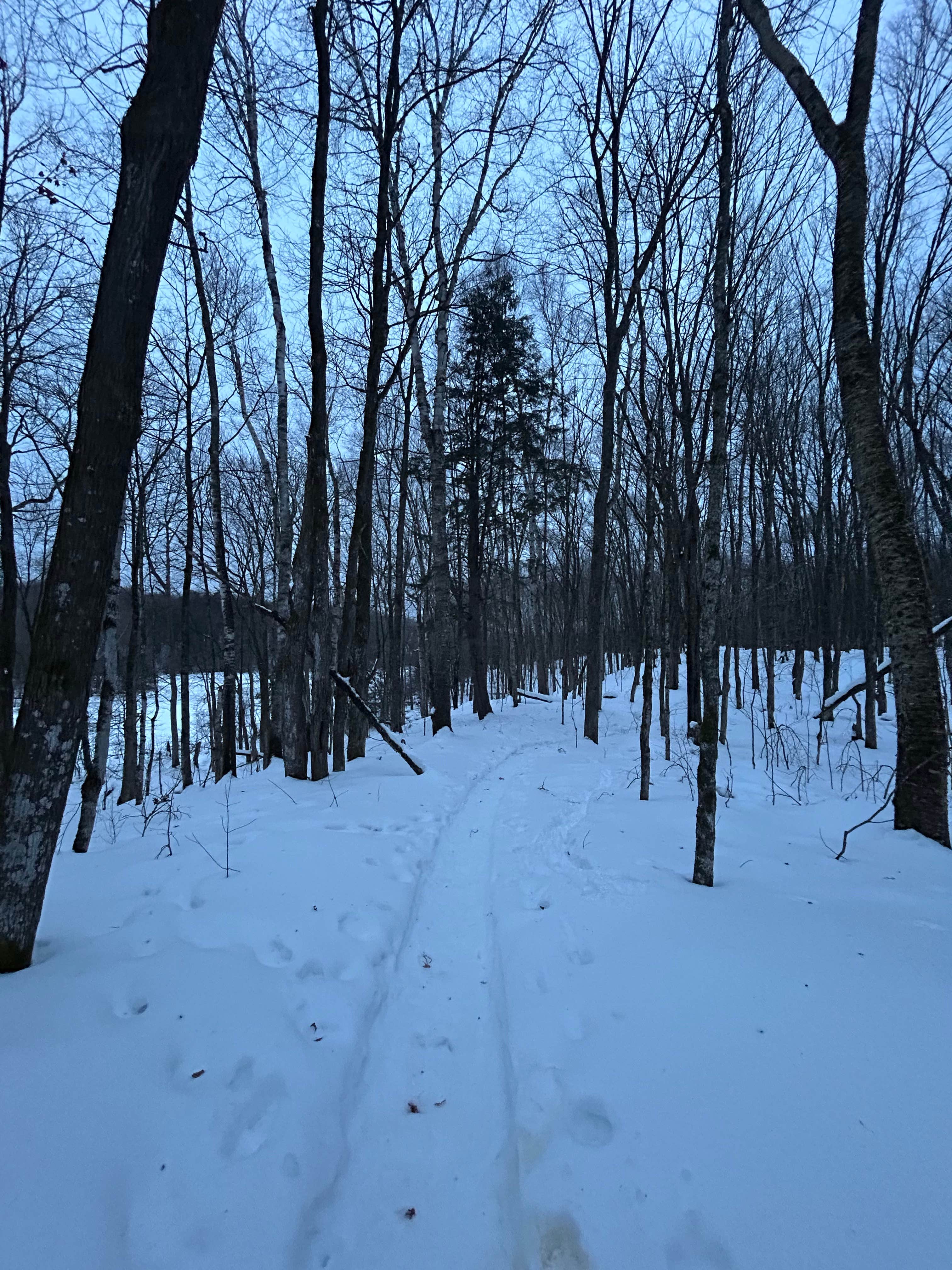 Camper-submitted photo at Porcupine Lake Wilderness near Hayward, WI