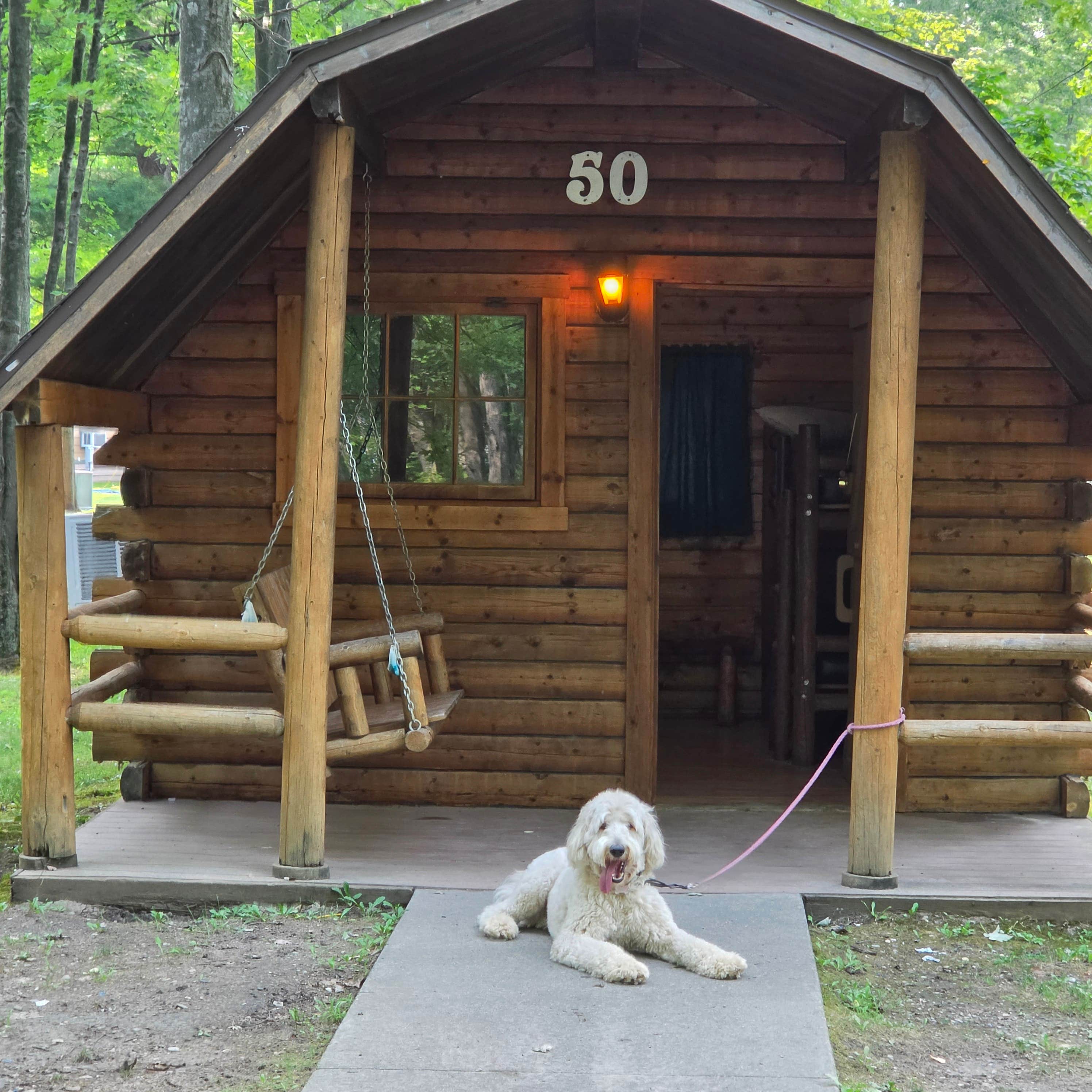 Kevin D.'s photo of a cabin at Port Huron KOA near Sandusky, MI