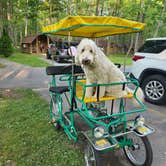 Review photo of Port Huron KOA by Kevin D., August 15, 2026