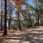 Review photo of Port Of Kimberling Marina & Resort by Larry F., October 21, 2024