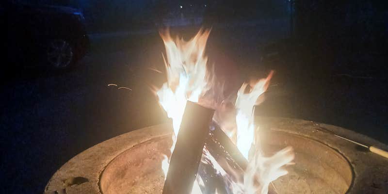 Camper submitted image from Waterloo Portage Lake Modern — Waterloo Recreation Area