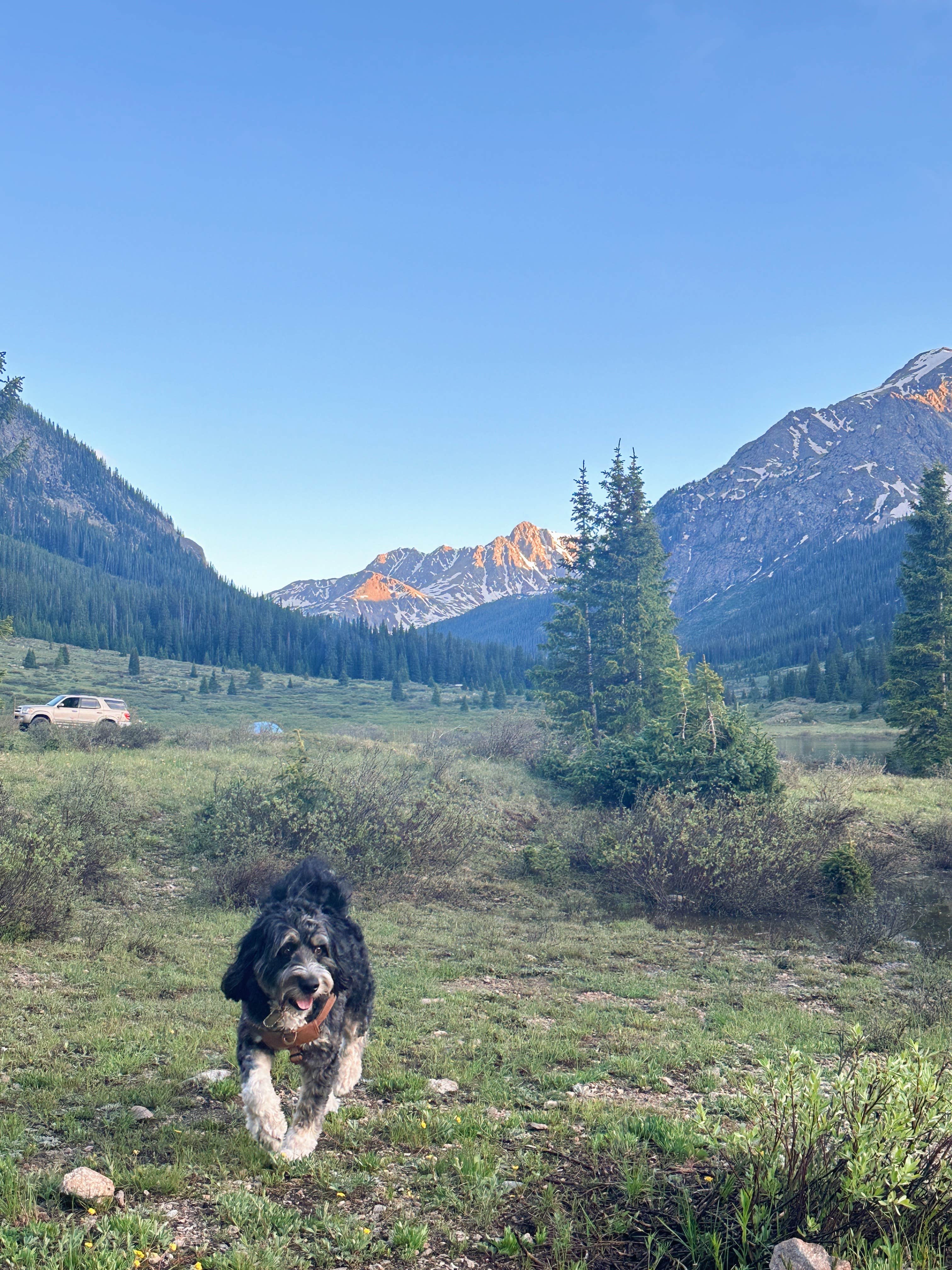 Allison G.'s photo of camping with pets at Portal Campground near Crested Butte, CO
