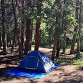 Review photo of Portal Campground by Allison G., June 24, 2024