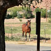 Review photo of Village Camp Moab by Ash .., May 27, 2024
