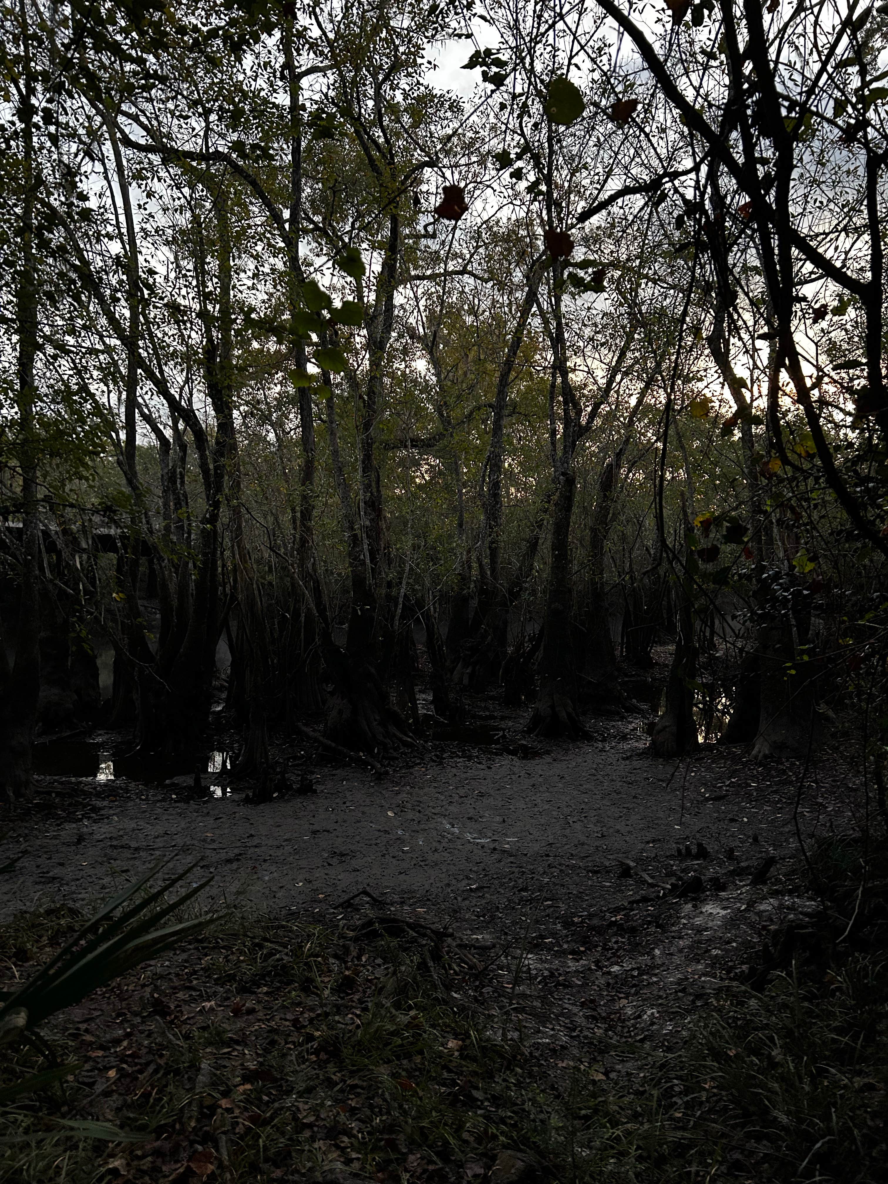 Camper-submitted photo at Porter Lake Dispersed Camp near Youngstown, FL