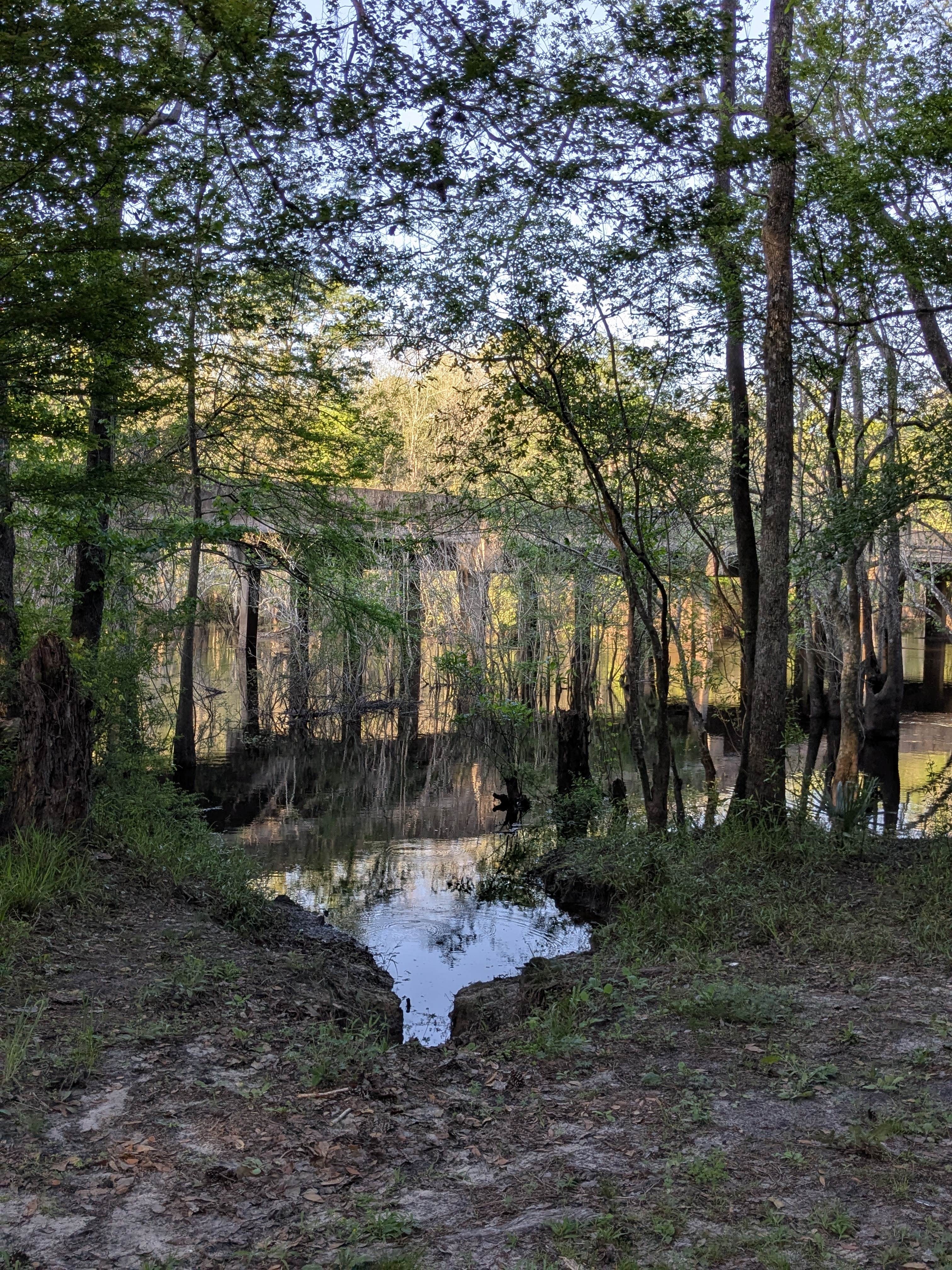 Camper-submitted photo at Porter Lake Dispersed Camp near Youngstown, FL