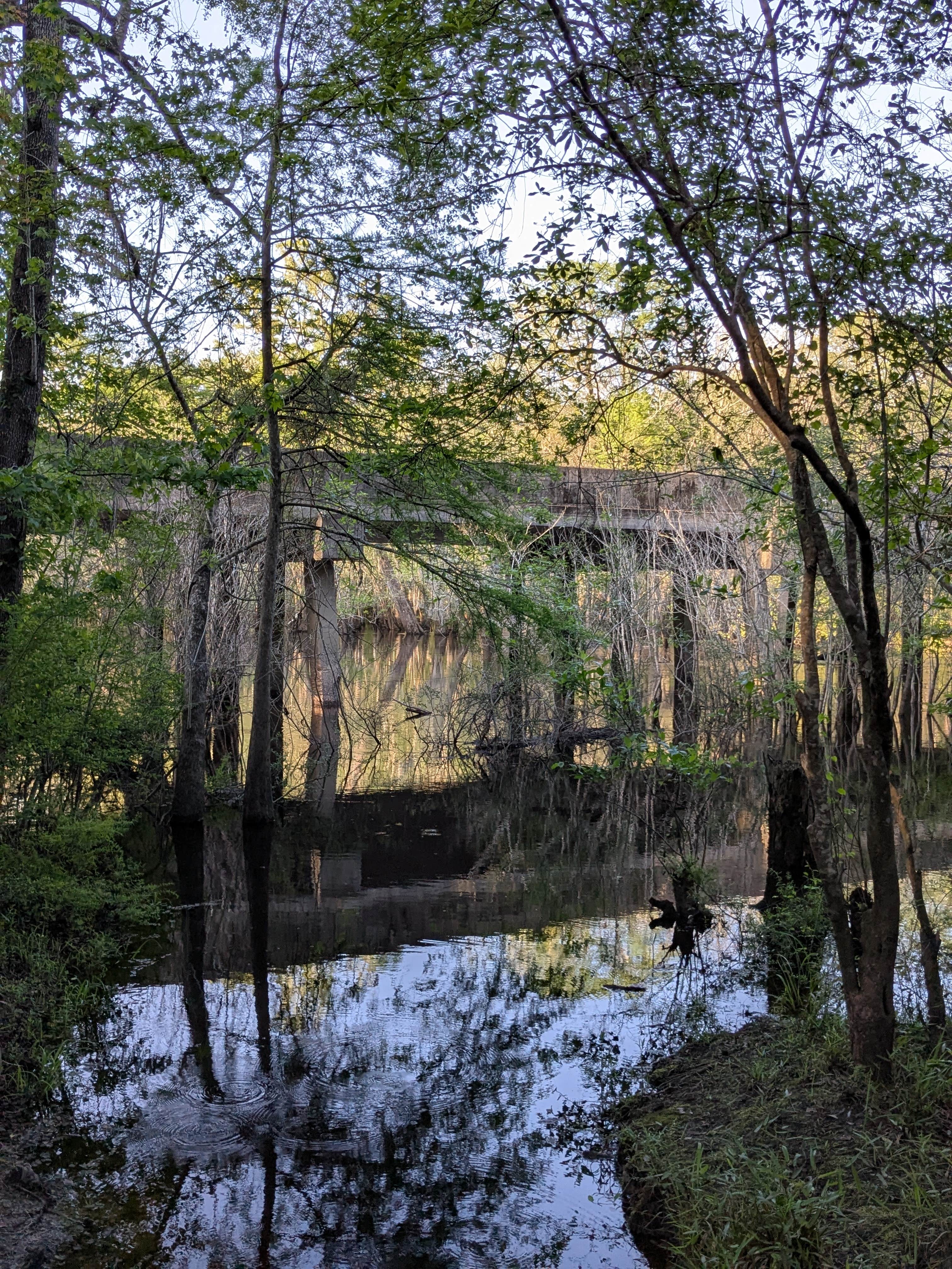 Camper-submitted photo at Porter Lake Dispersed Camp near Youngstown, FL