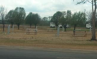 James M.'s photo of camping with pets at Porth RV Park near Mississippi River - Pools 11-22