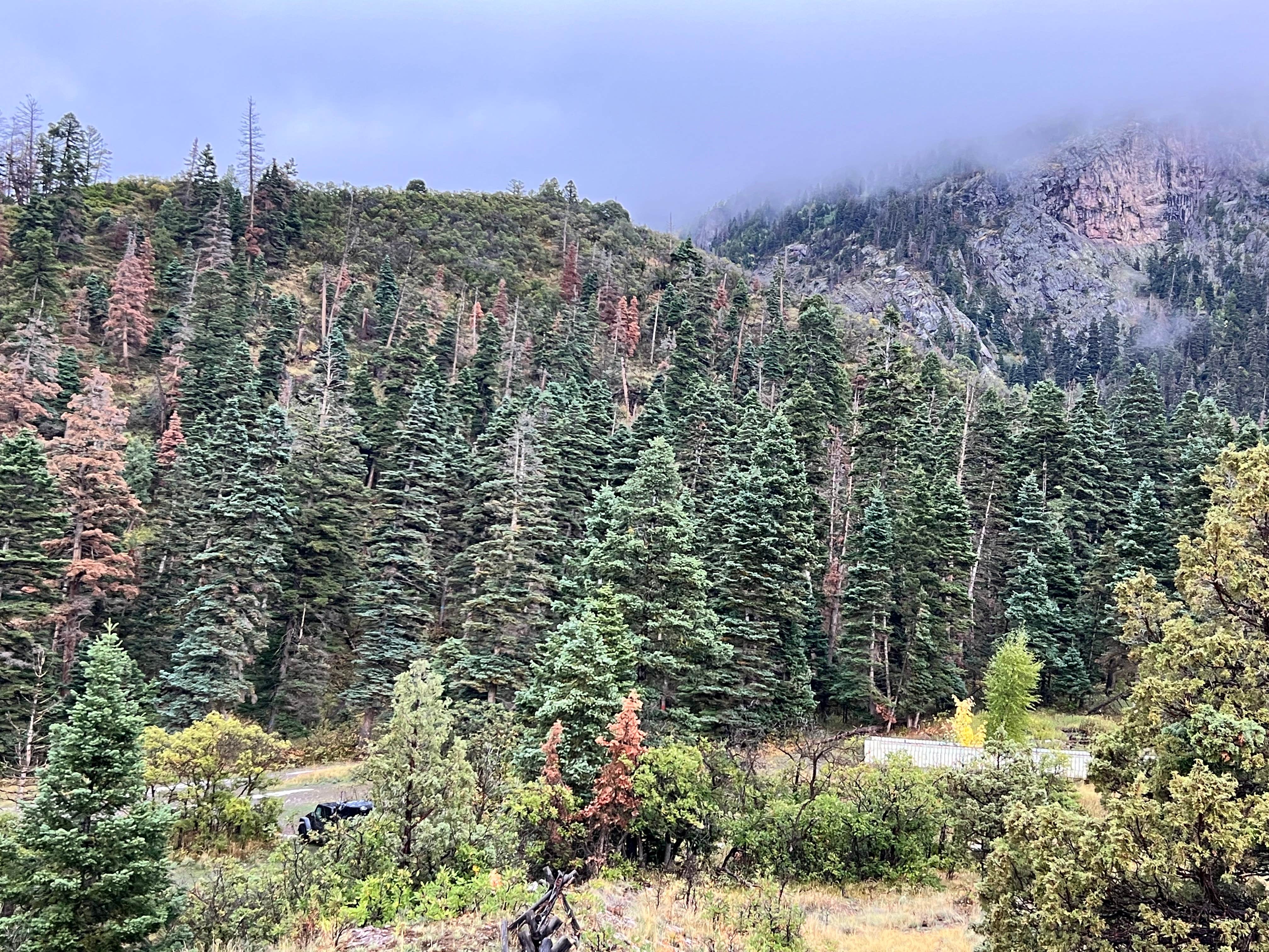 Camper-submitted photo at Portland Road Dispersed near Ouray, CO