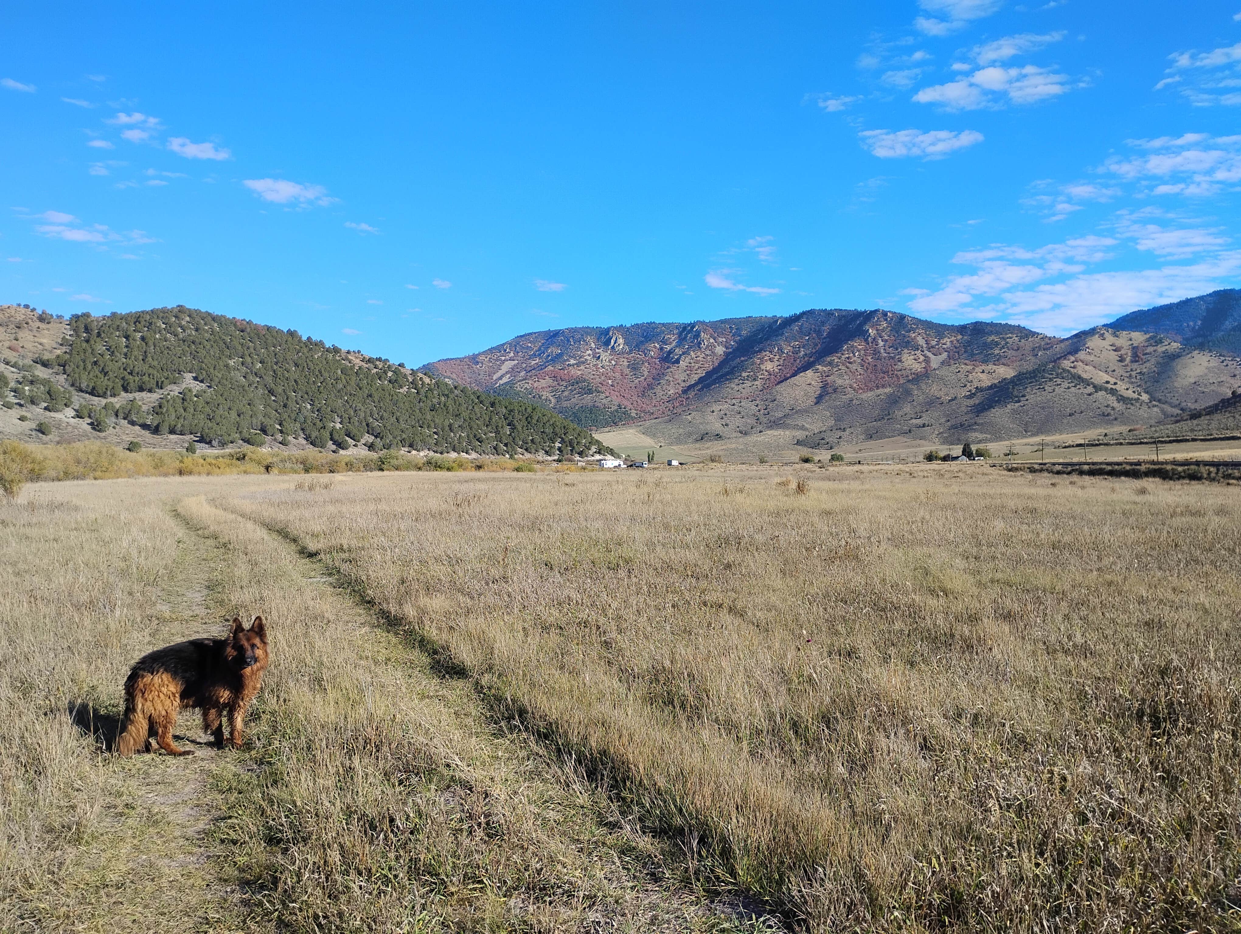 Camper-submitted photo at Portneuf Lower Sportsmen's Access near Pocatello, ID
