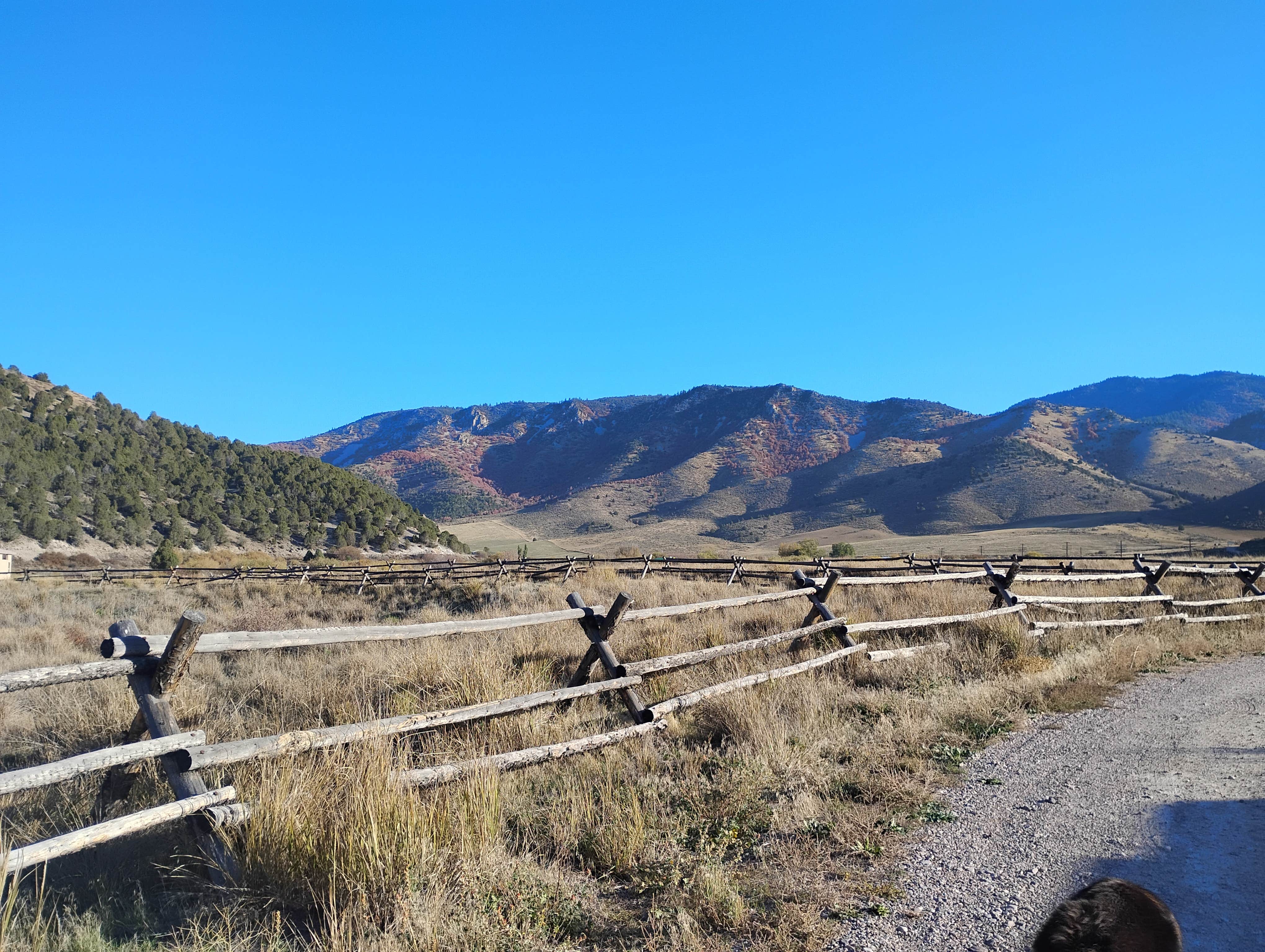 Camper-submitted photo at Portneuf Lower Sportsmen's Access near Pocatello, ID