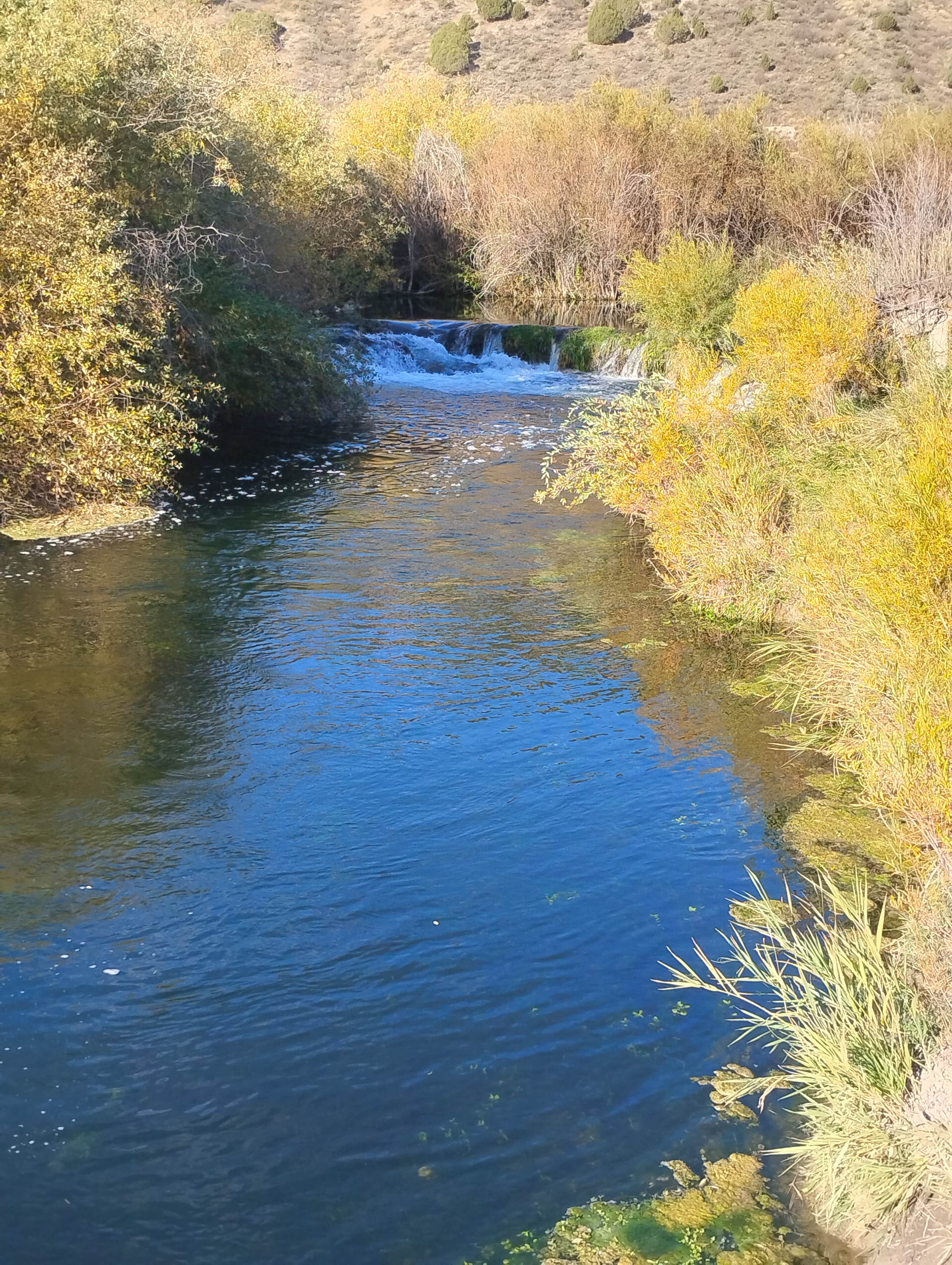 Camper-submitted photo at Portneuf Lower Sportsmen's Access near Pocatello, ID