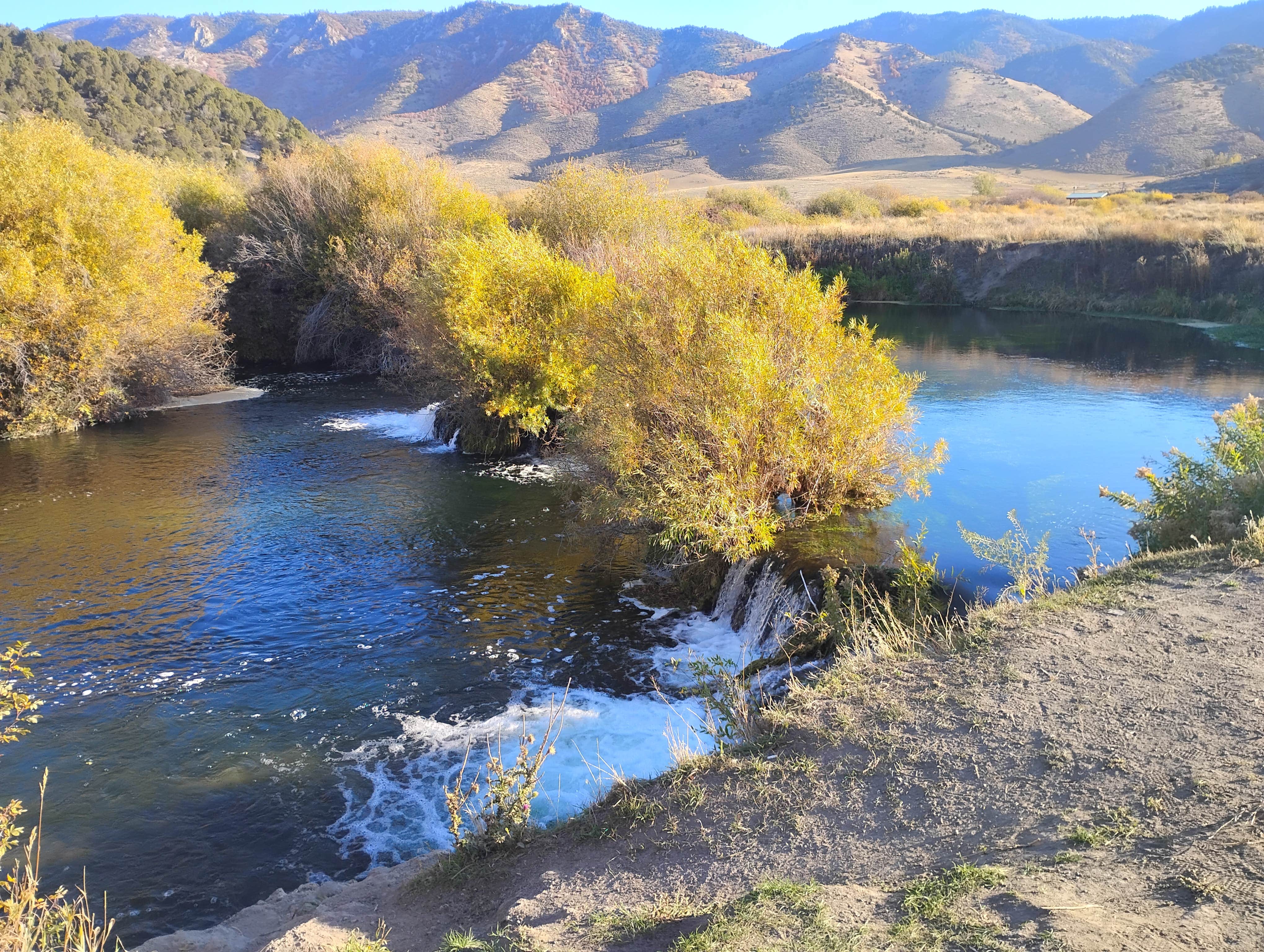 Derek N.'s photo of a dispersed camping area at Portneuf Lower Sportsmen's Access near Pocatello, ID