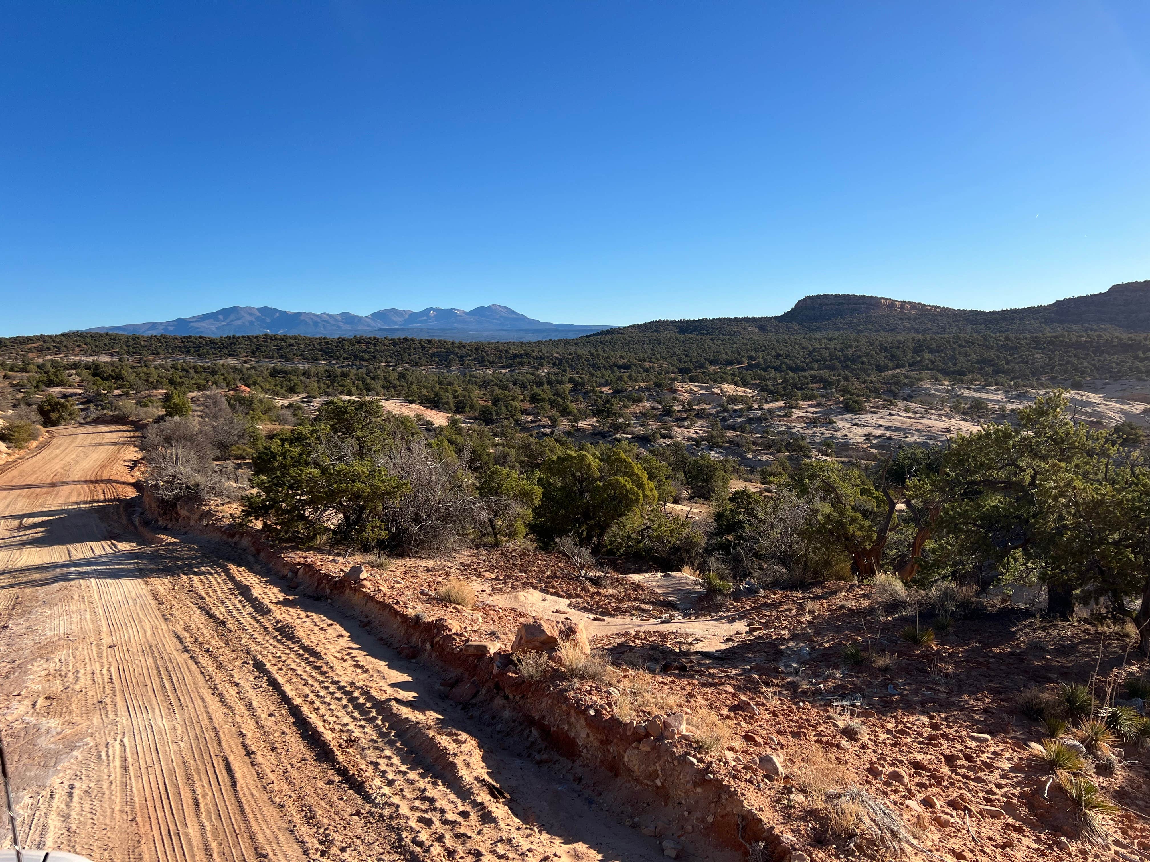 Camper-submitted photo at Poseys Trail Road Dispersed near Blanding, UT