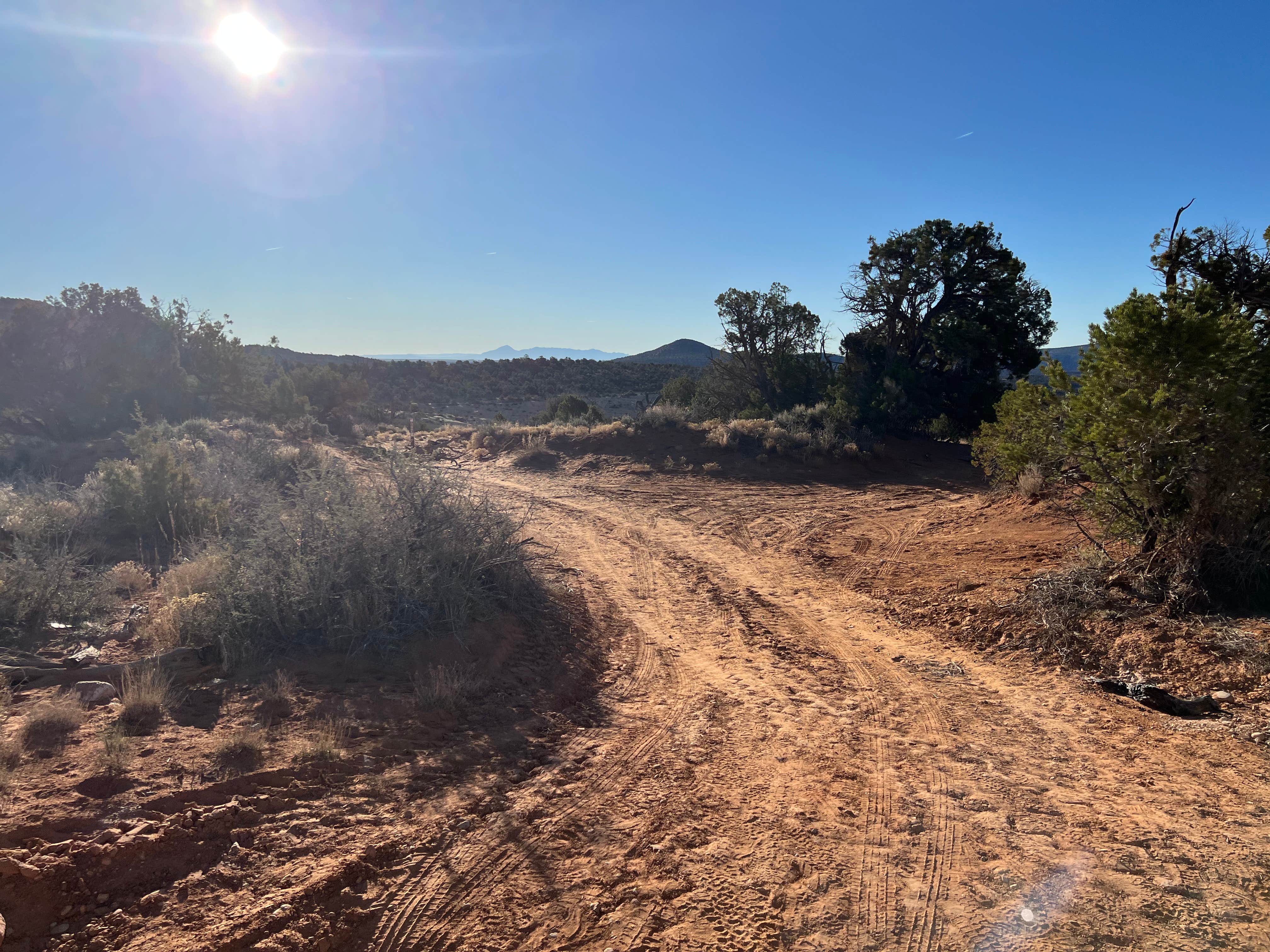 Camper-submitted photo at Poseys Trail Road Dispersed near Blanding, UT