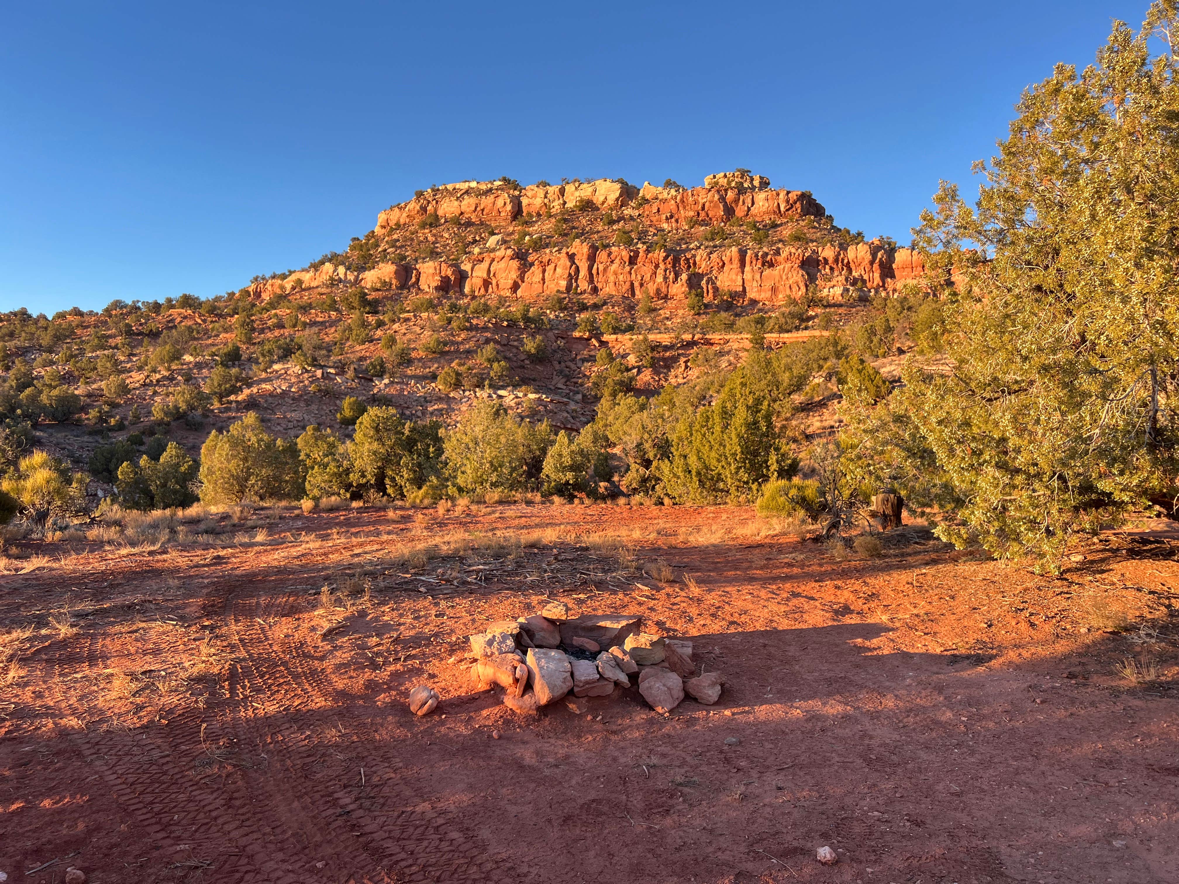 Camper-submitted photo at Poseys Trail Road Dispersed near Blanding, UT