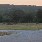 Review photo of Possum Kingdom Lake BRA - Bug Beach: BRA Area #5 by Darlene , May 2, 2024