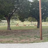 Review photo of Possum Kingdom Lake BRA - Bug Beach: BRA Area #5 by Darrell W., July 25, 2026