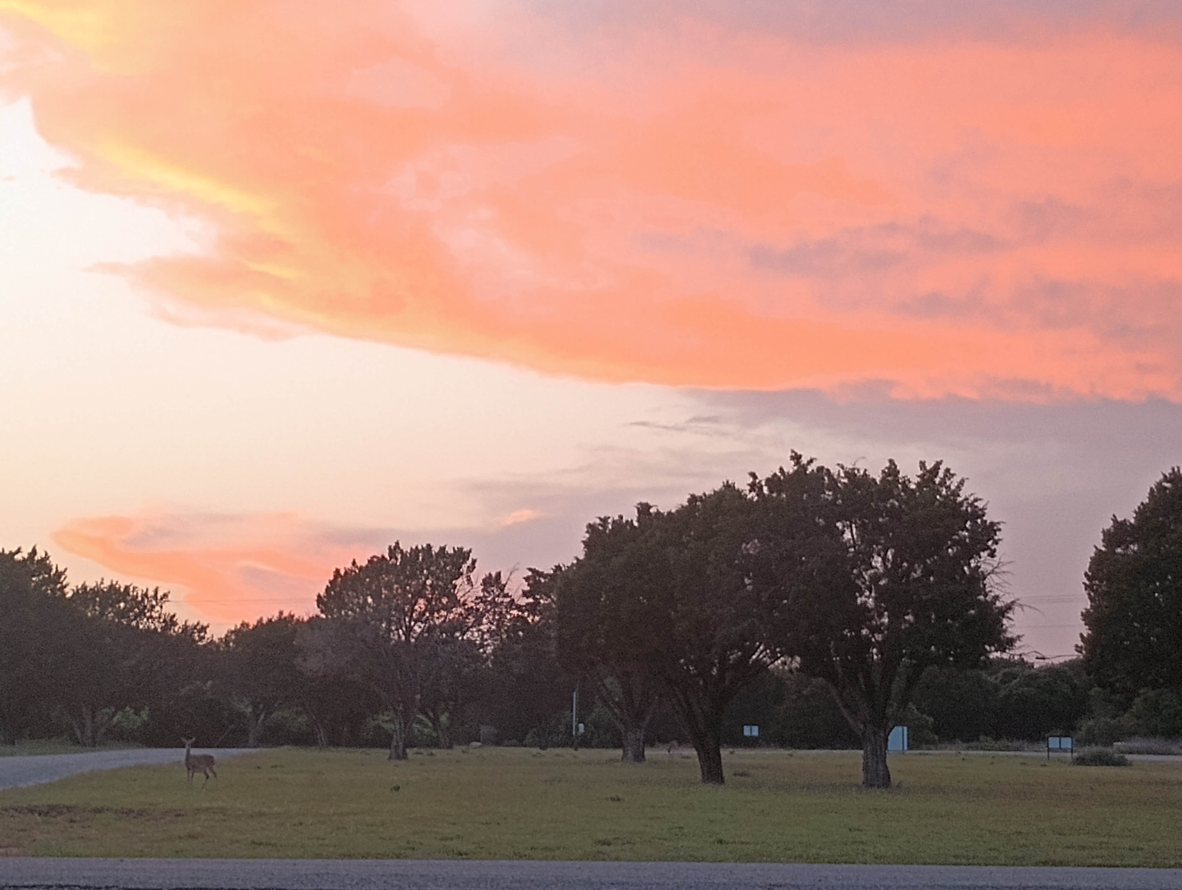 Darlene's photo of a dispersed camping area at Possum Kingdom Lake BRA - Bug Beach: BRA Area #5 near Mineral Wells, TX