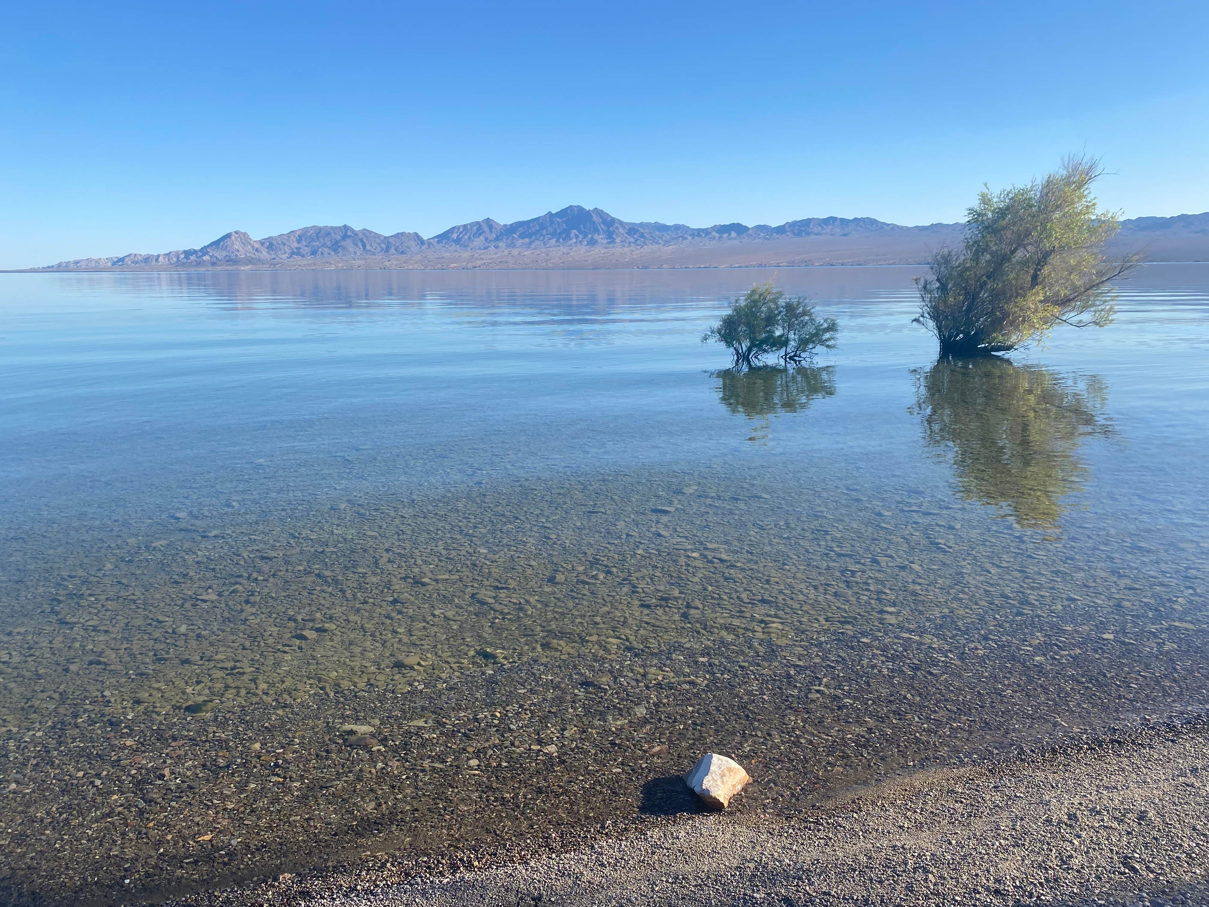 Camper submitted image from Pot Cove in Lake Mohave - 1