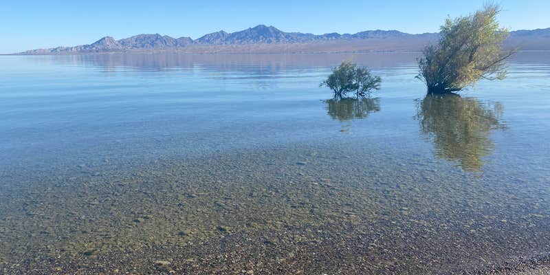 Camper submitted image from Pot Cove in Lake Mohave