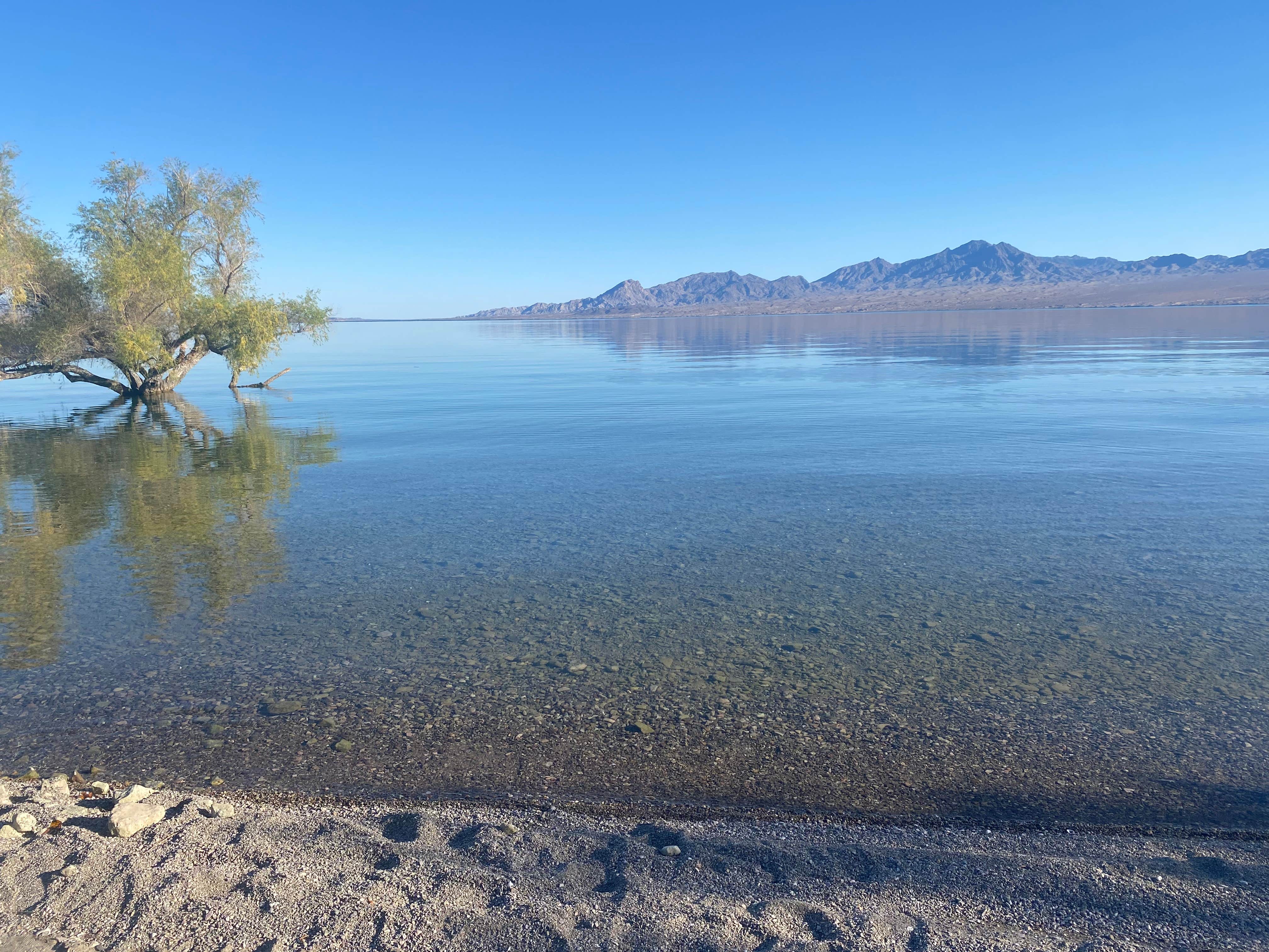 Brendan M.'s photo of a dispersed camping area at Pot Cove in Lake Mohave near Laughlin, NV