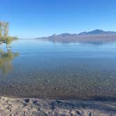 Review photo of Pot Cove in Lake Mohave by Brendan M., July 12, 2025