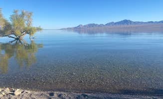 Brendan M.'s photo of a dispersed camping area at Pot Cove in Lake Mohave near Dolan Springs, AZ