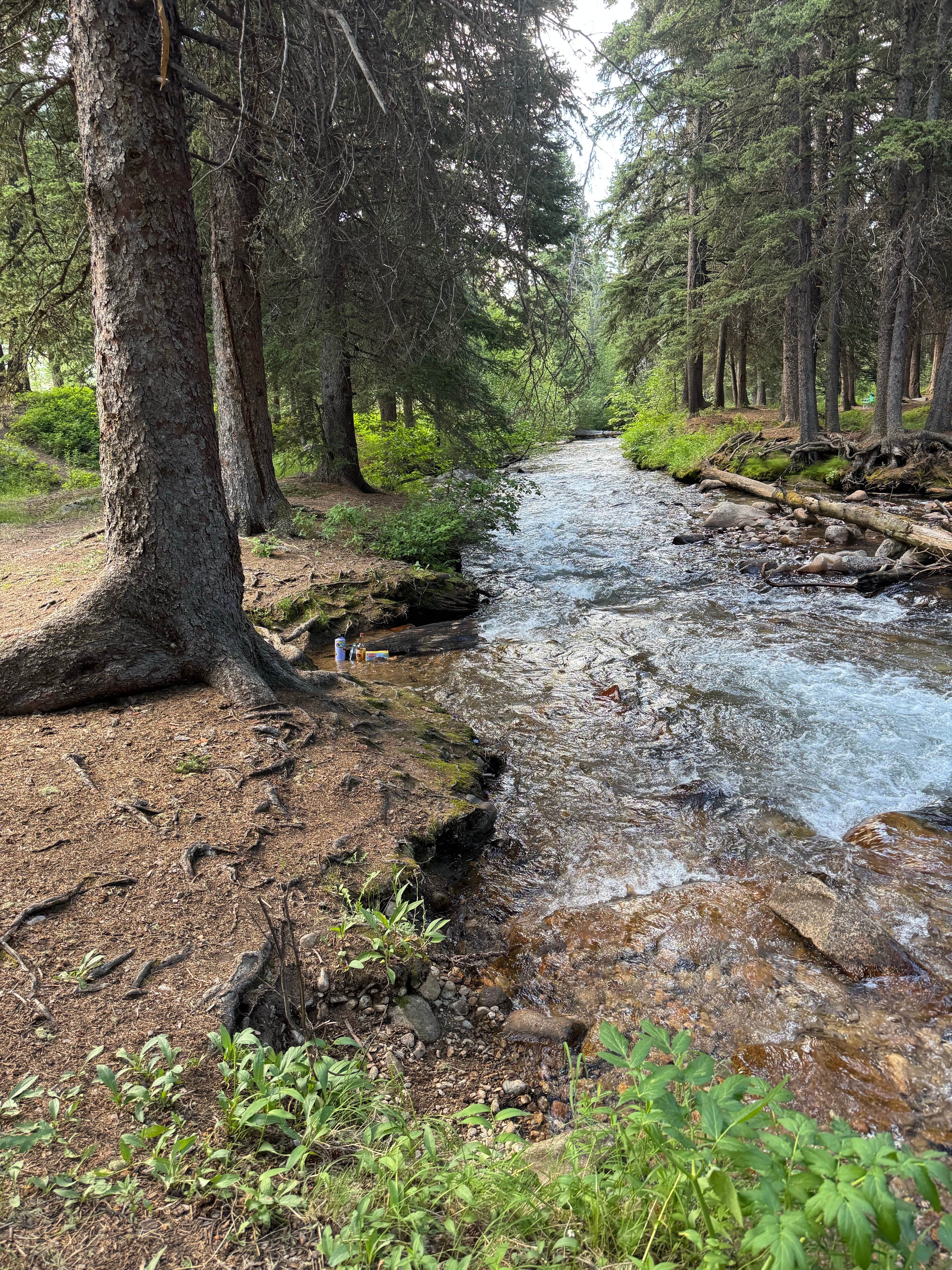 Camper-submitted photo at Potosi Campground near Norris, MT