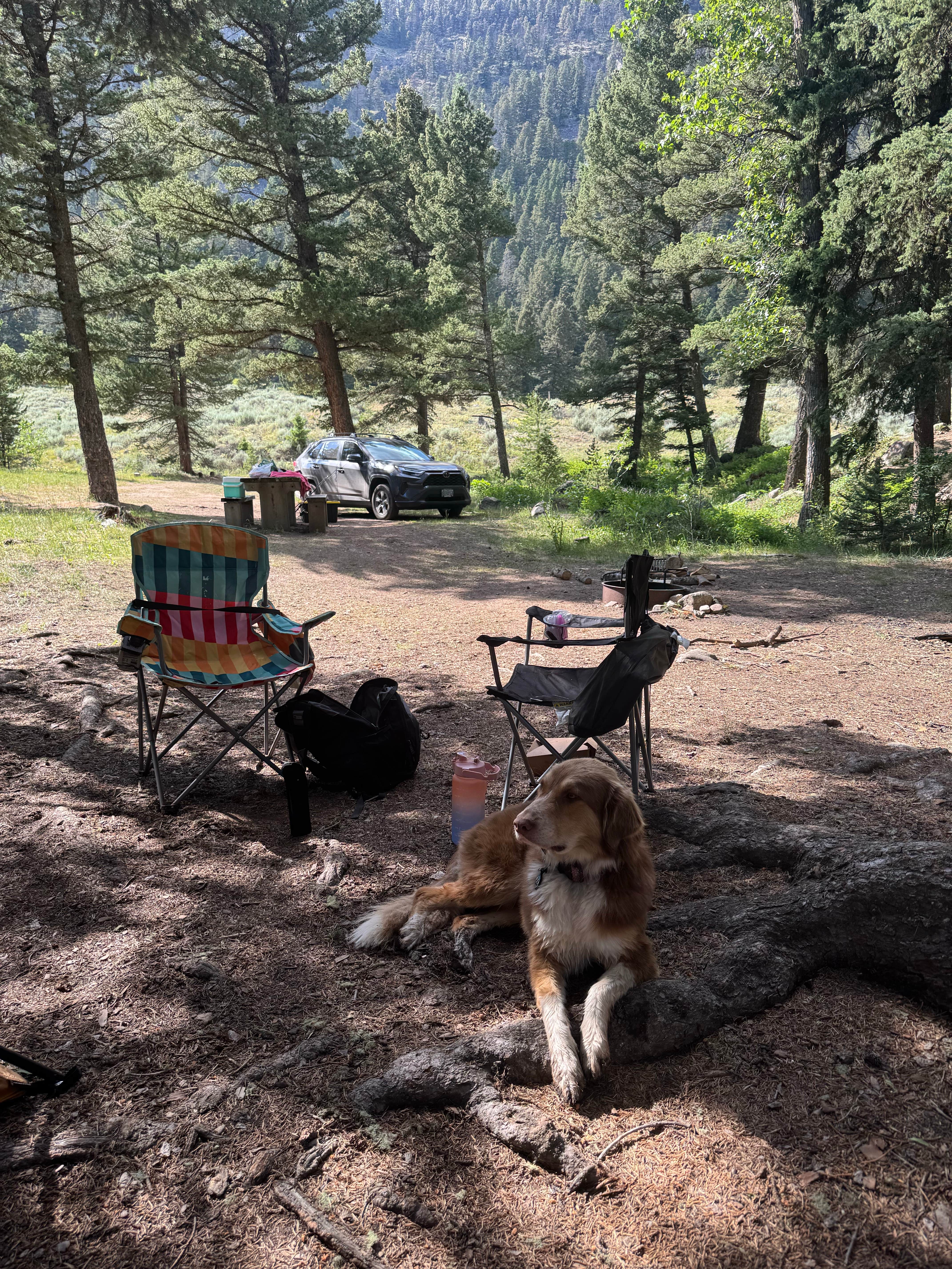 Camper-submitted photo at Potosi Campground near Norris, MT