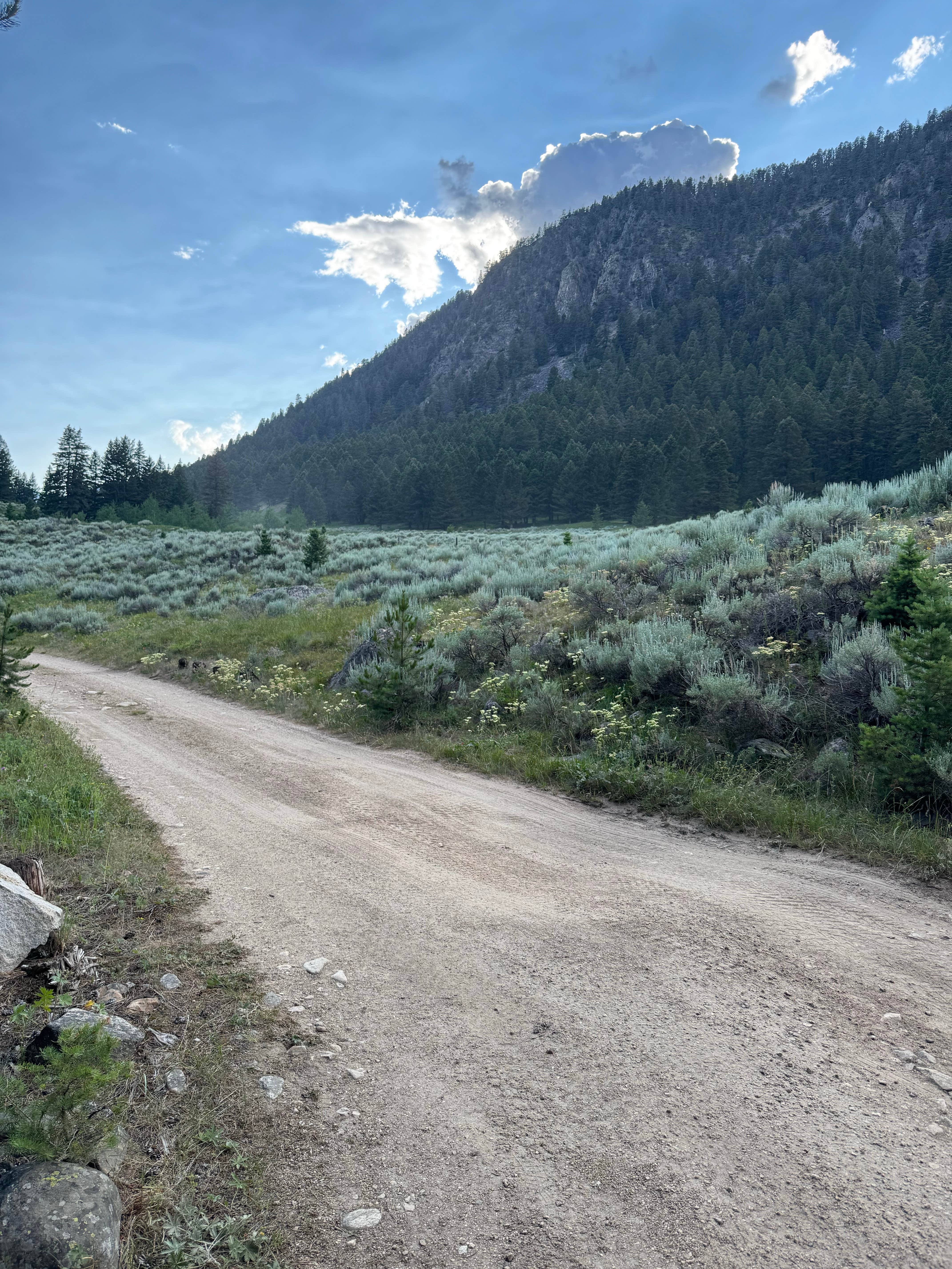 Camper-submitted photo at Potosi Campground near Norris, MT