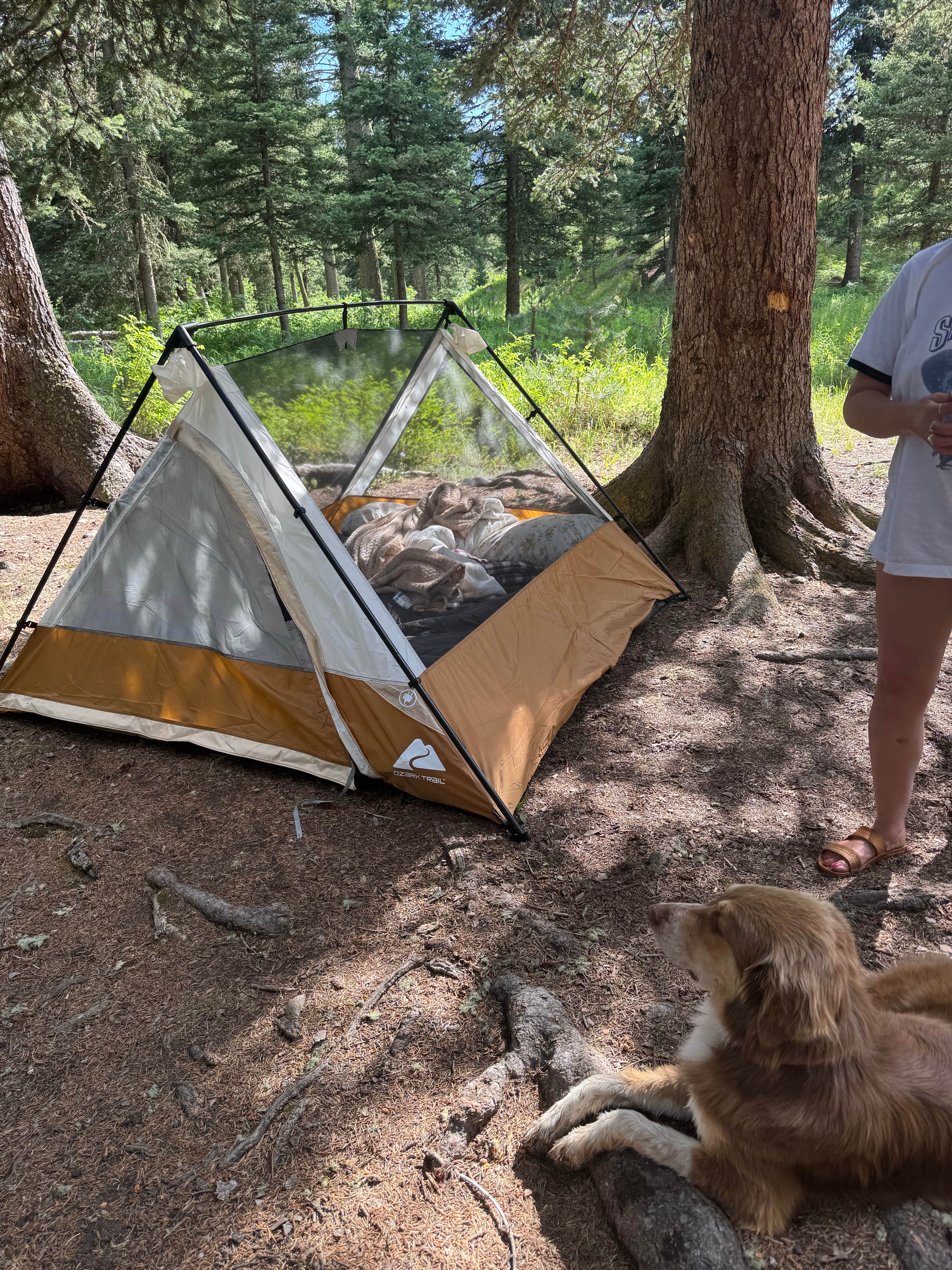 Camper-submitted photo at Potosi Campground near Norris, MT