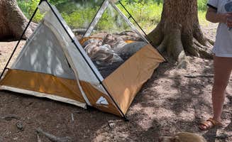 Allison P.'s photo of camping with pets at Potosi Campground near Pony, MT
