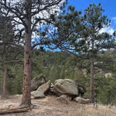 Review photo of Poudre Canyon Road Camp by Teresa A., March 18, 2026